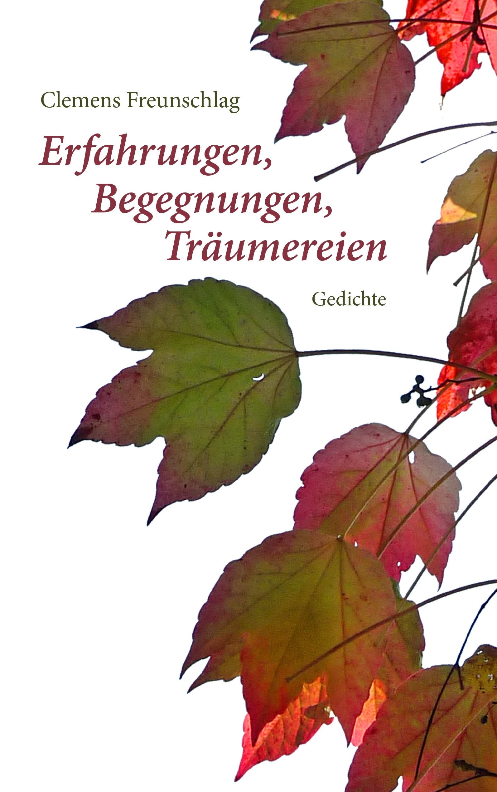 Erfahrungen, Begegnungen, Träumereien Poetry