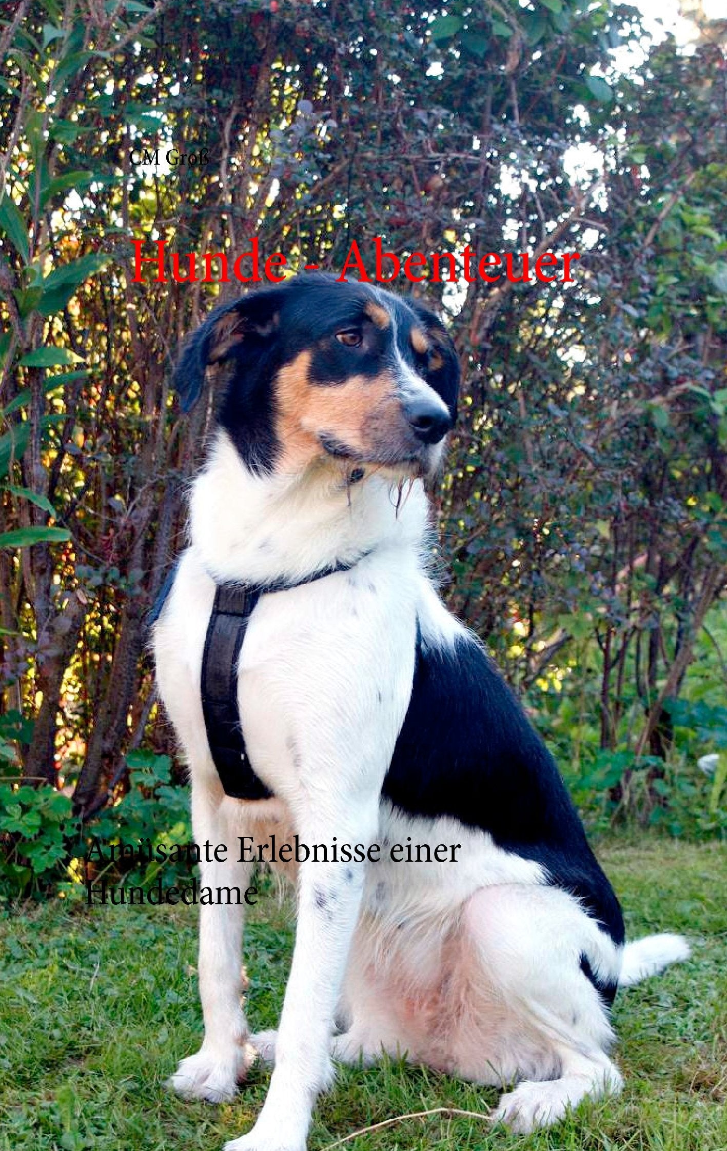 Hunde - Abenteuer: Amüsante Erlebnisse einer Hundedame Pets