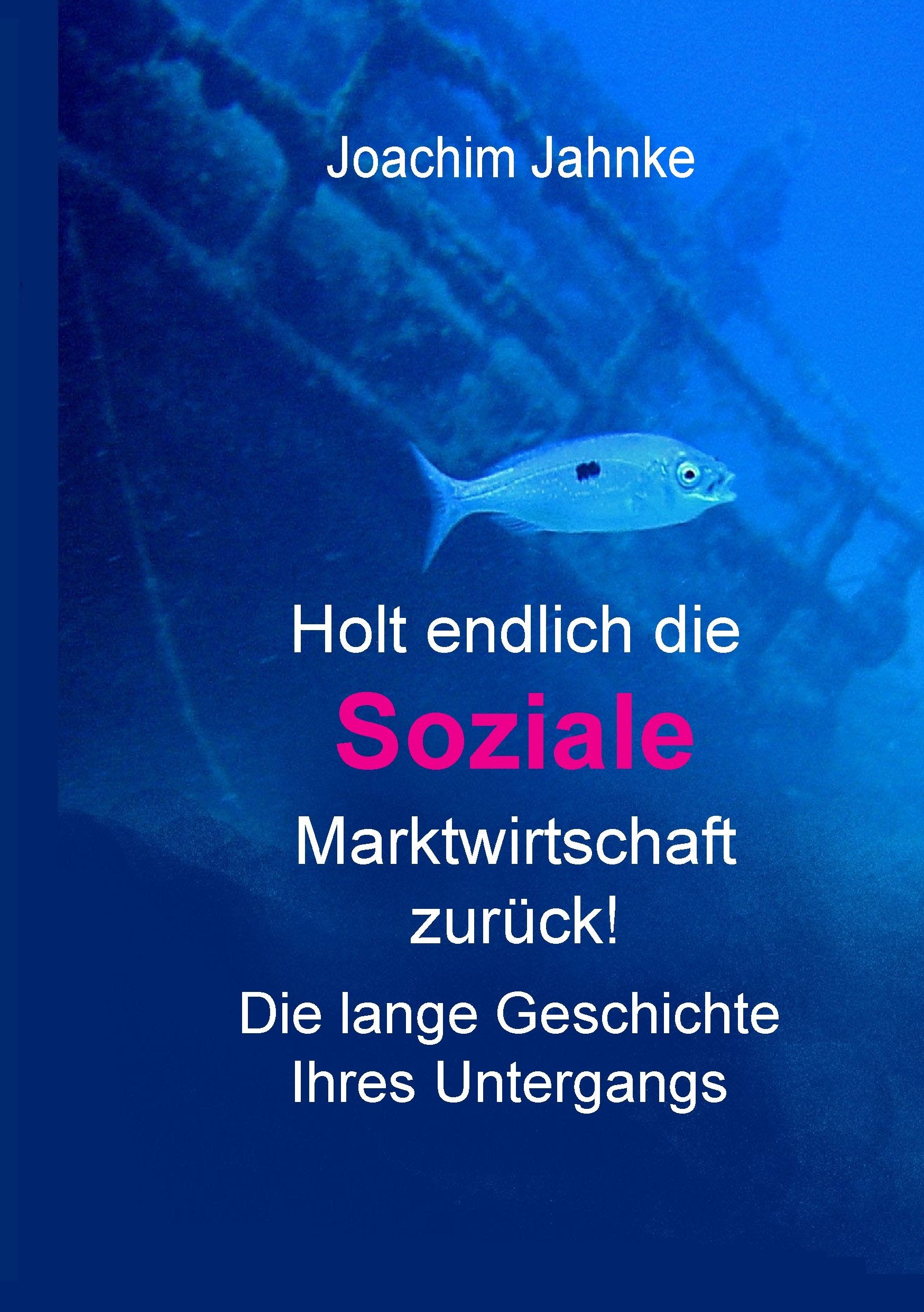 Holt endlich die Soziale Marktwirtschaft zurück!: Die lange Geschichte ihres Untergangs Law