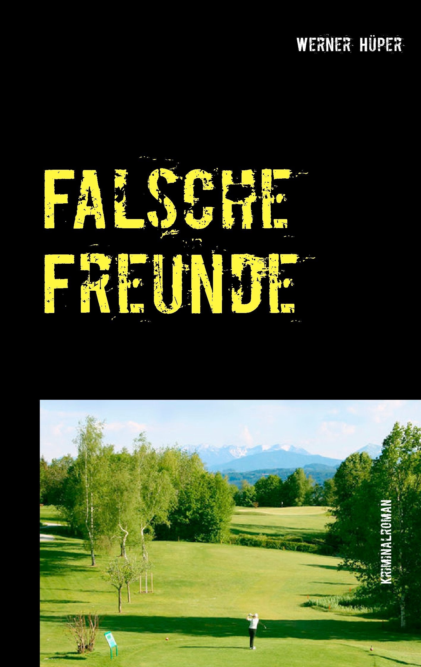Falsche Freunde Contemporary literature Books