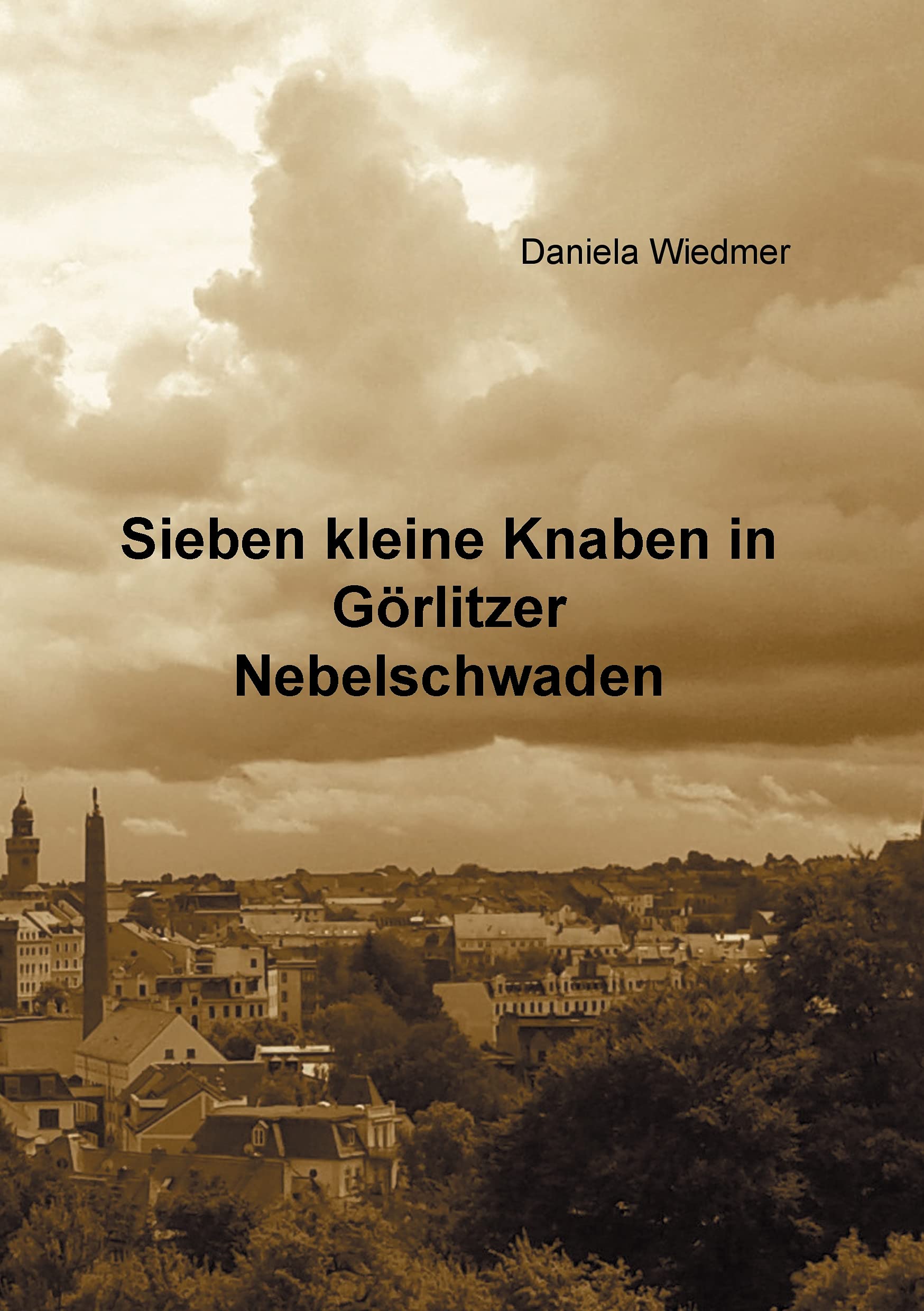 Sieben kleine Knaben in Görlitzer Nebelschwaden Contemporary literature