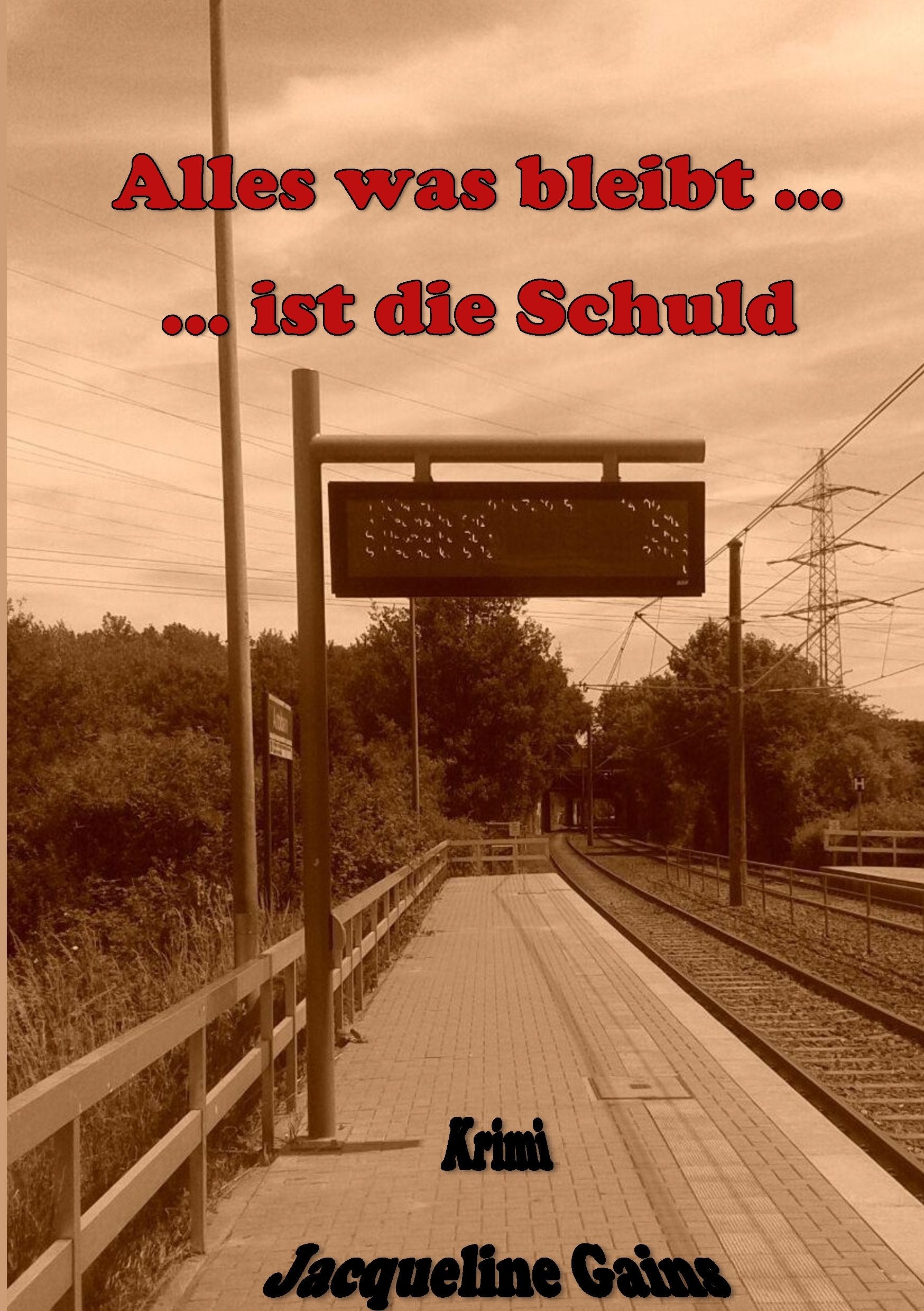 Alles was bleibt ... ... ist die Schuld Contemporary literature