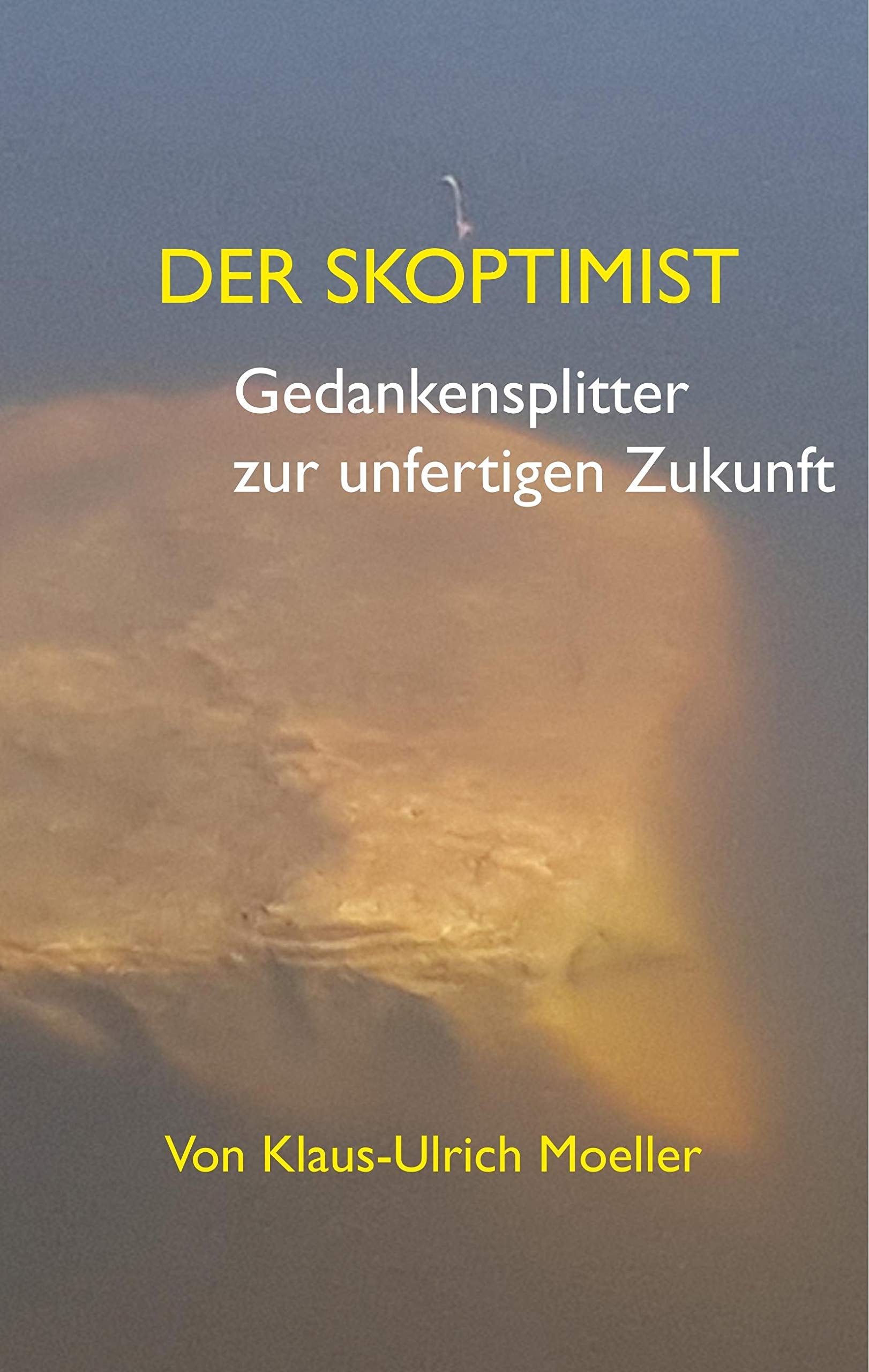Der Skoptimist: Gedankensplitter zur unfertigen Zukunft Books