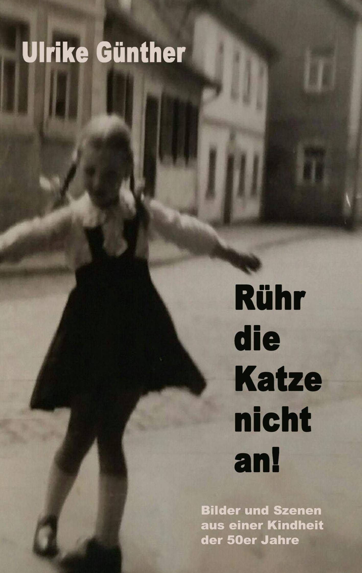 Rühr die Katze nicht an! book