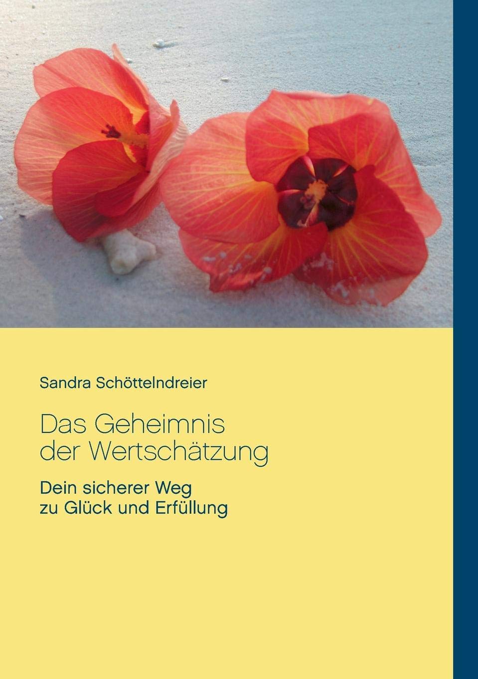 Das Geheimnis der Wertschätzung: Dein sicherer Weg zu Glück und Erfüllung Business, Finance & Career