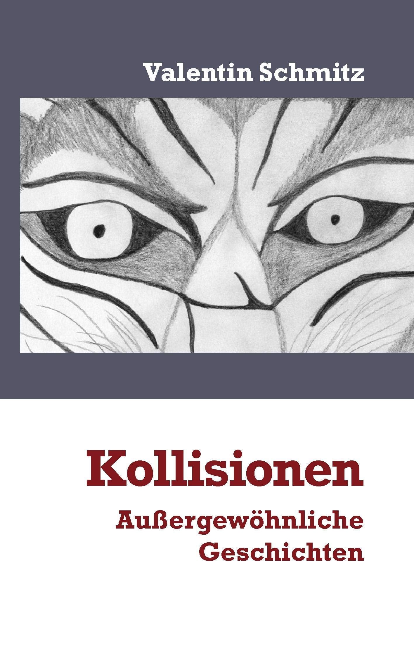 Kollisionen: Außergewöhnliche Geschichten Contemporary literature