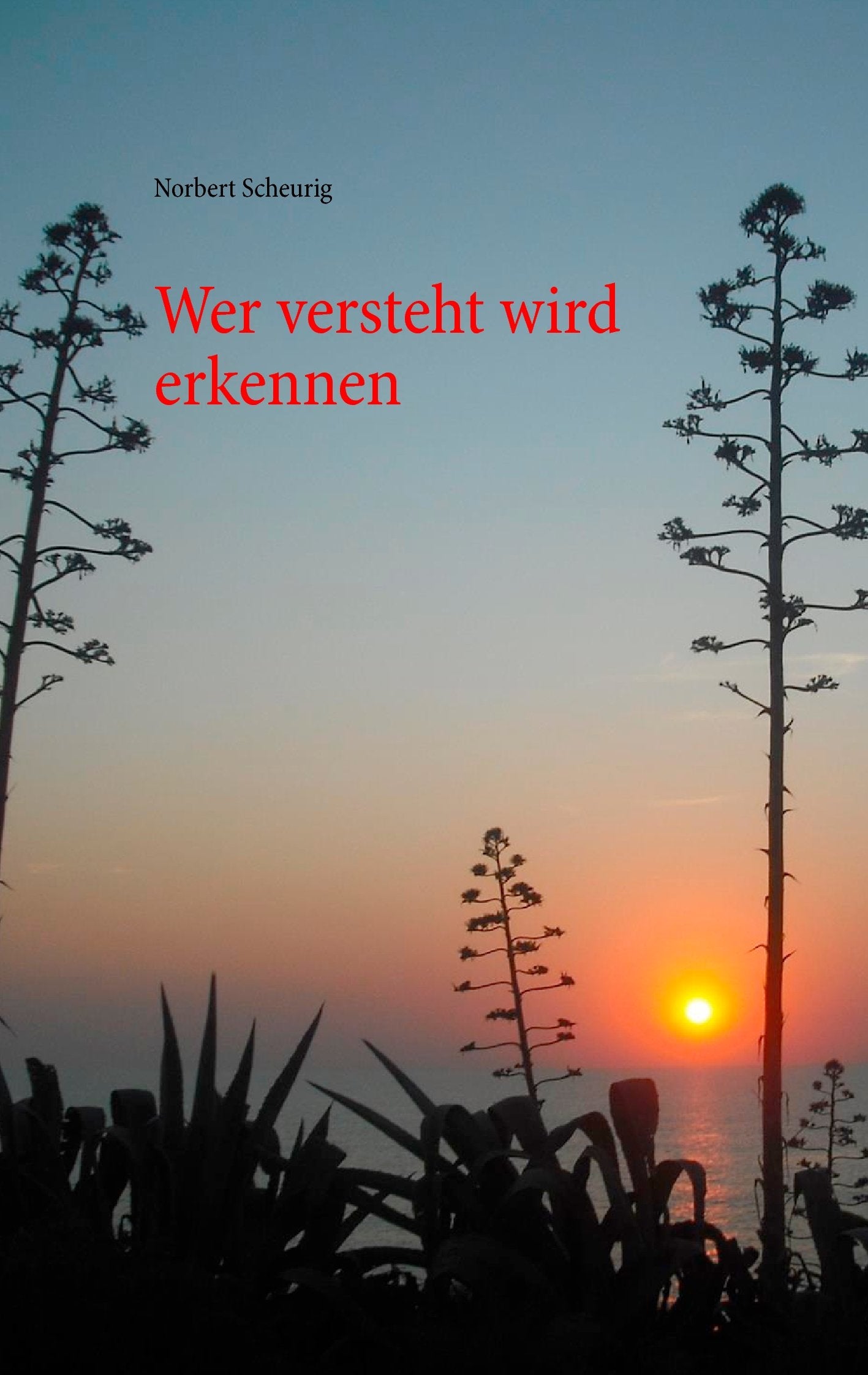 Wer versteht wird erkennen Poetry