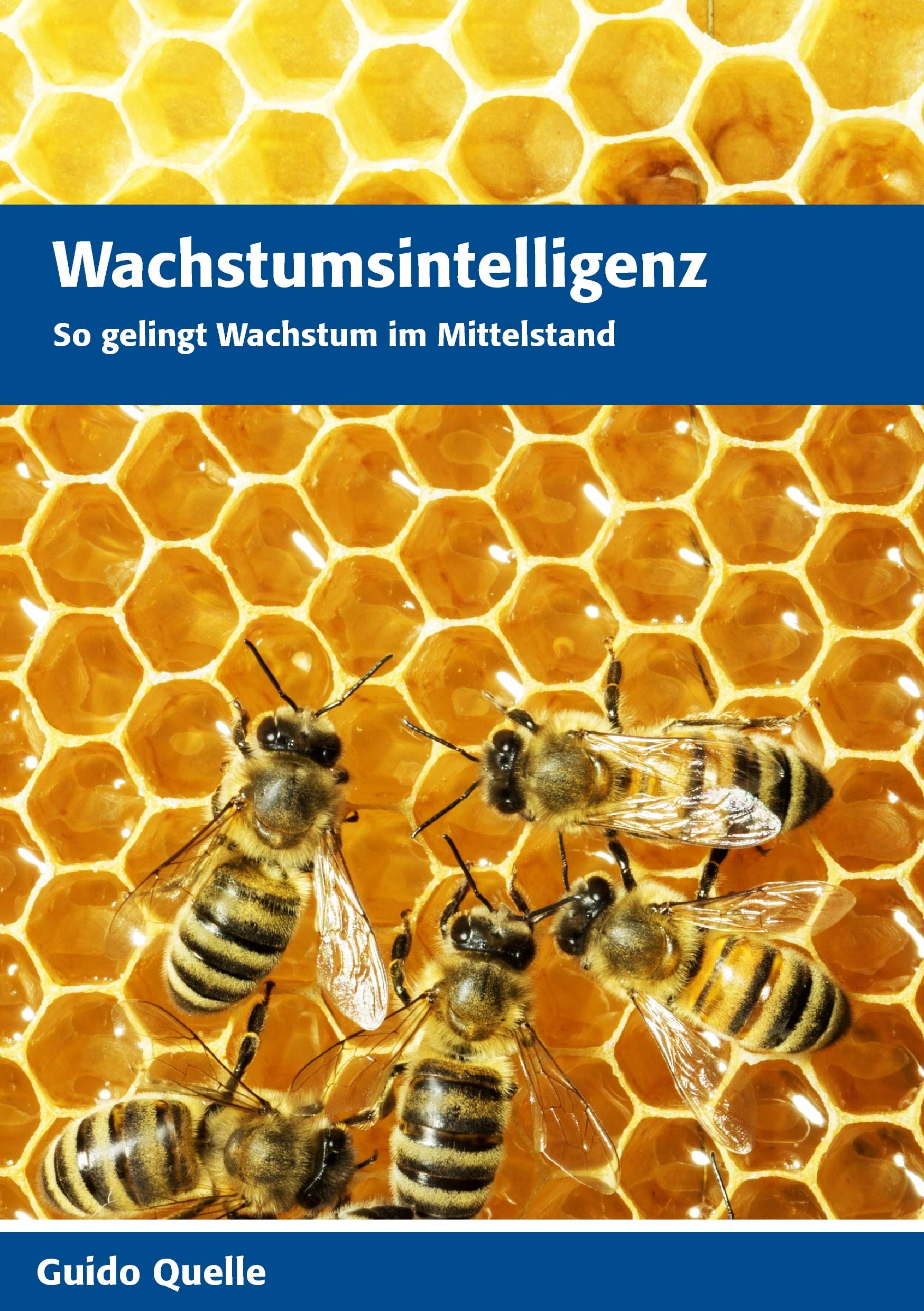 Wachstumsintelligenz Law