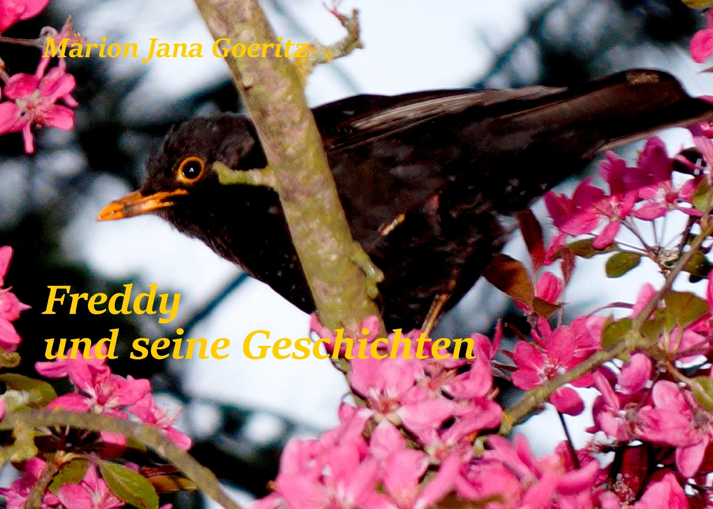 Freddy und seine Geschichten Novels & Short Stories