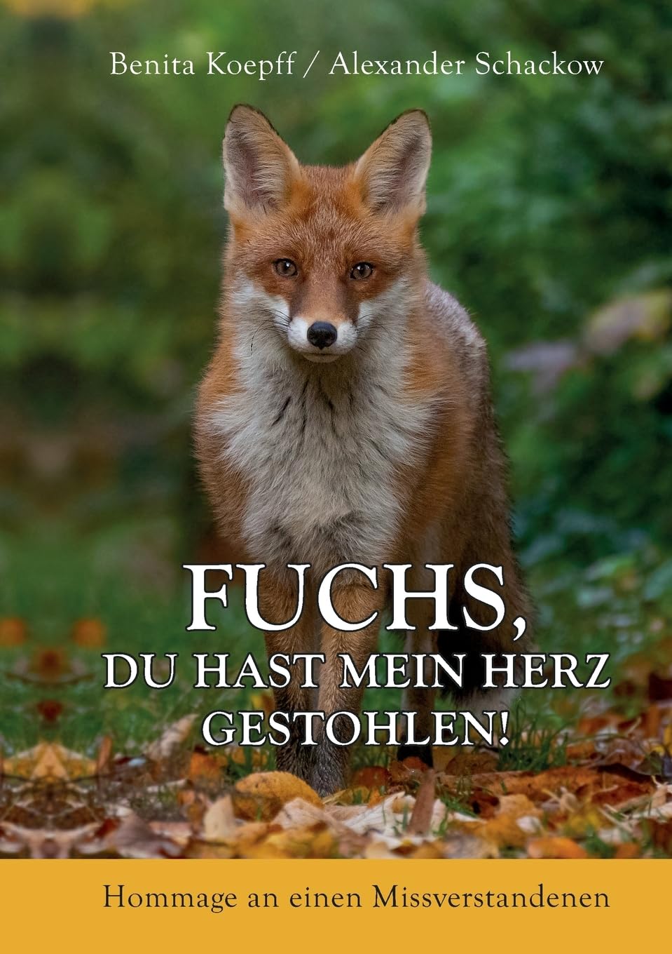 Fuchs, du hast mein Herz gestohlen!: Hommage an einen Missverstandenen Mathematics