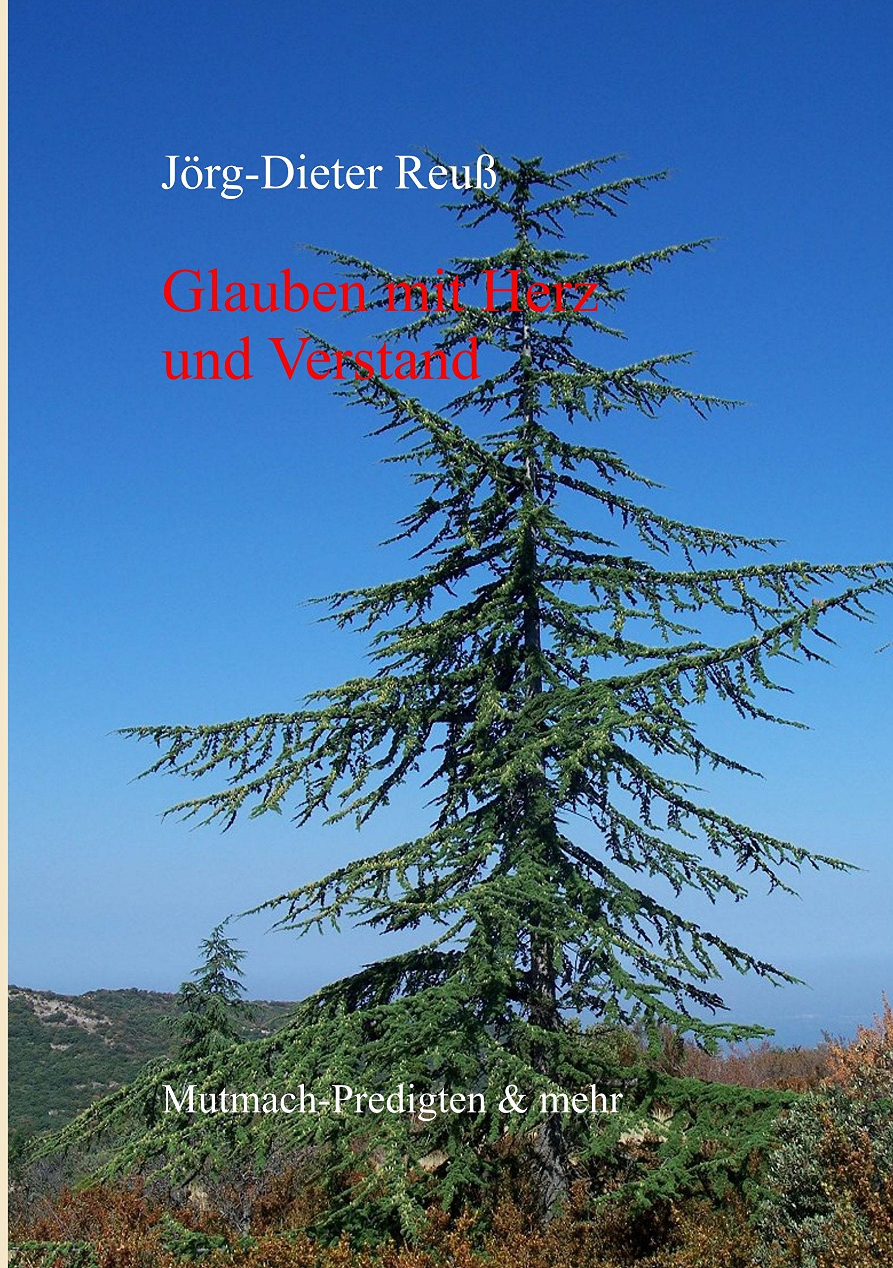 Glauben mit Herz und Verstand book