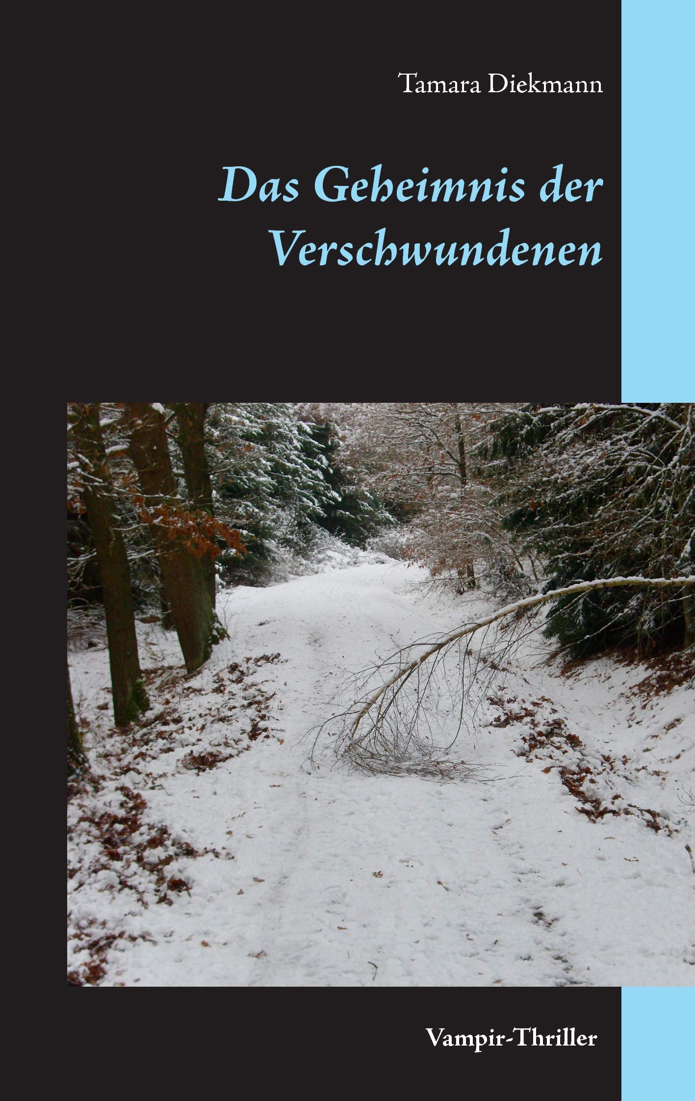 Das Geheimnis der Verschwundenen Contemporary literature
