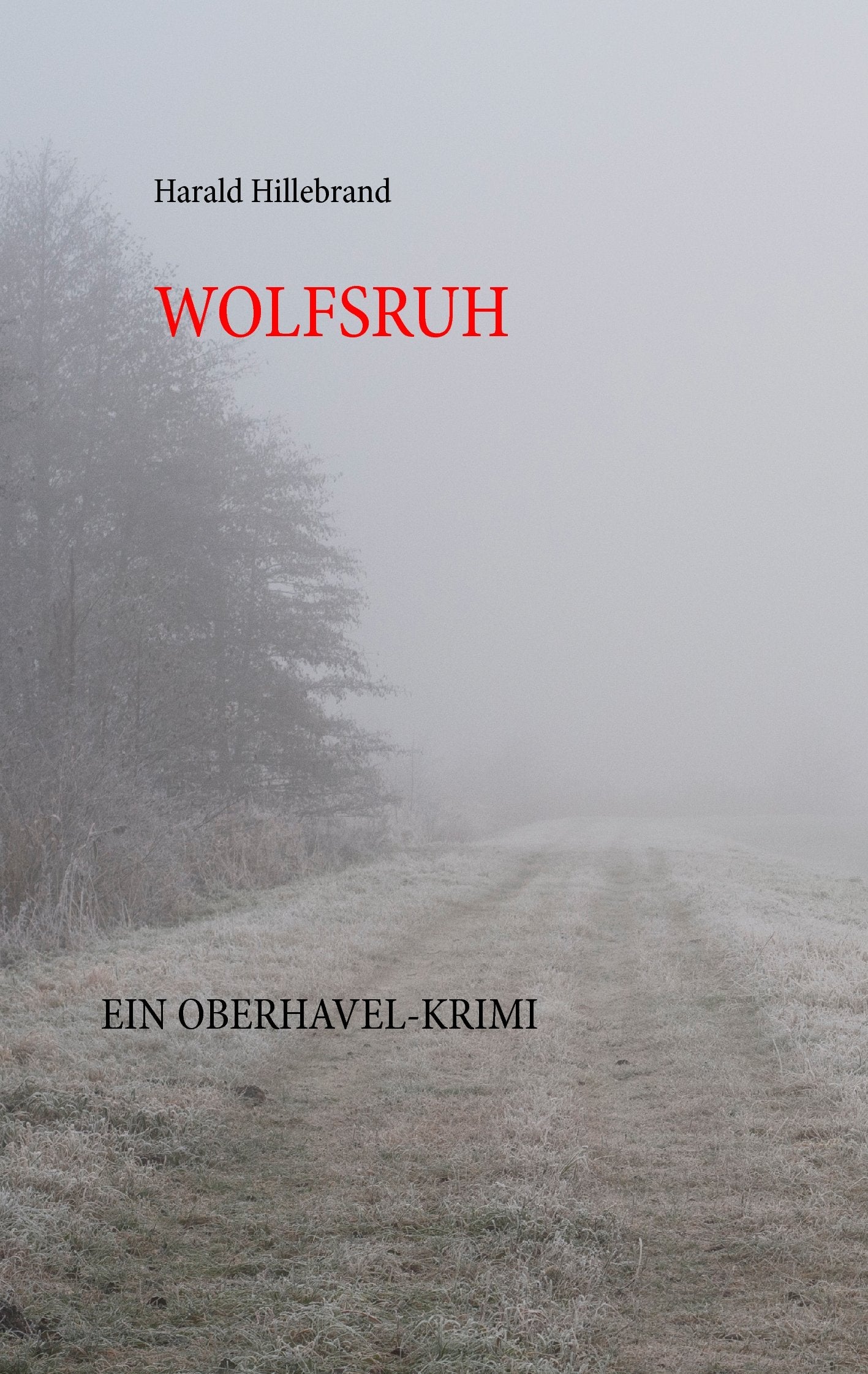 Wolfsruh Contemporary literature Books