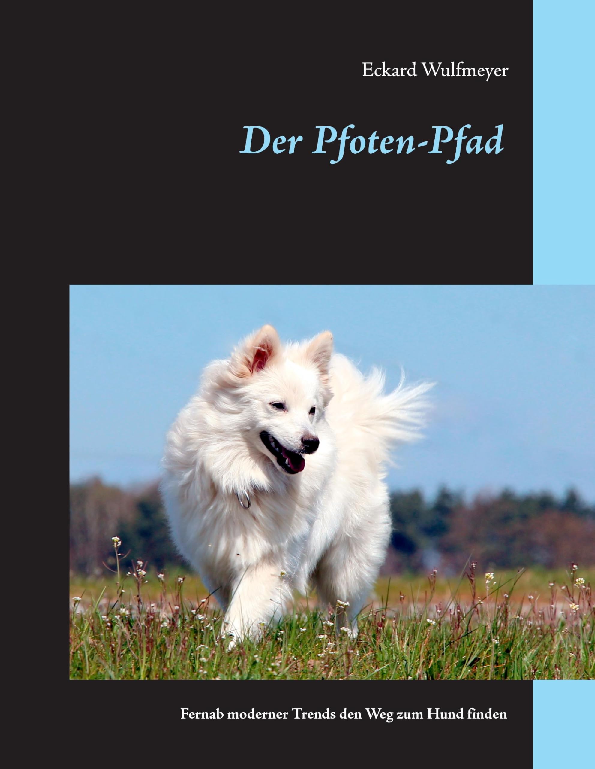 Der Pfoten-Pfad Pets