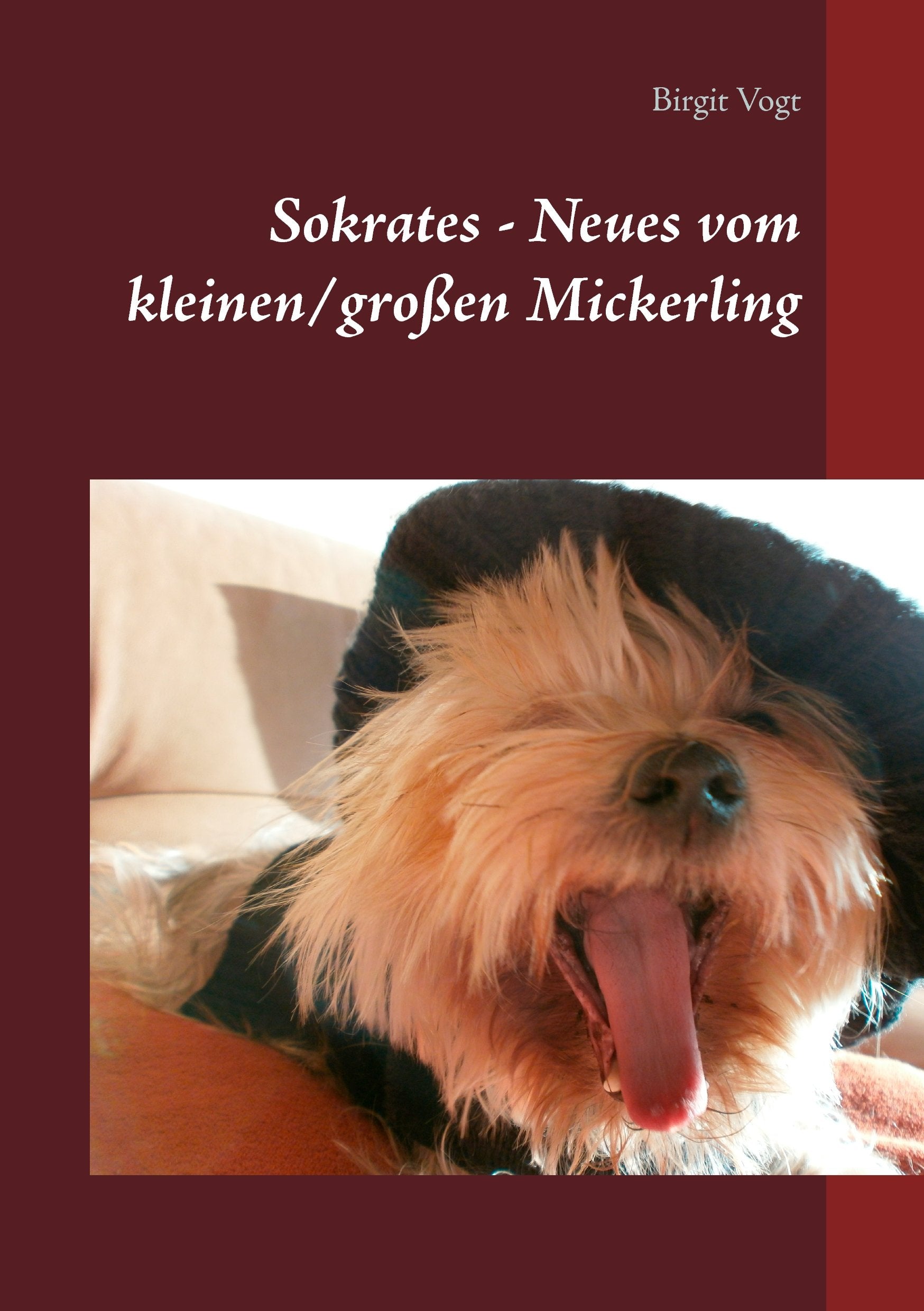 Sokrates - Neues vom kleinen/großen Mickerling Personalities