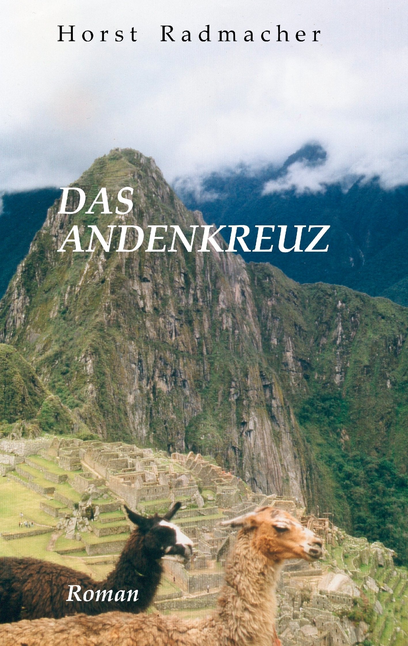 Das Andenkreuz: Roman Contemporary literature