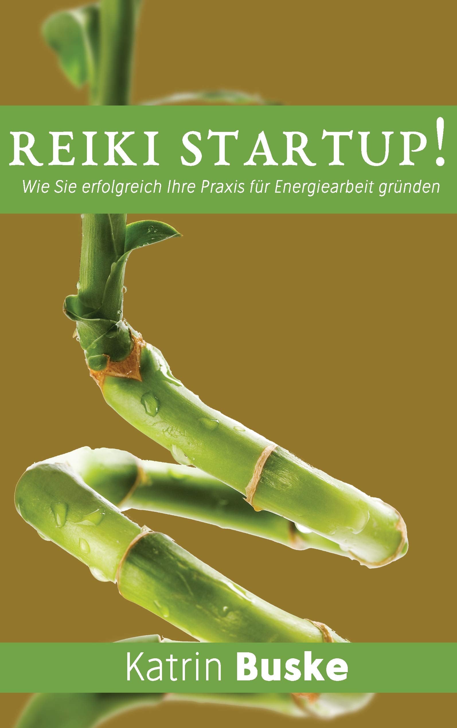 Product Image: Reiki Startup!