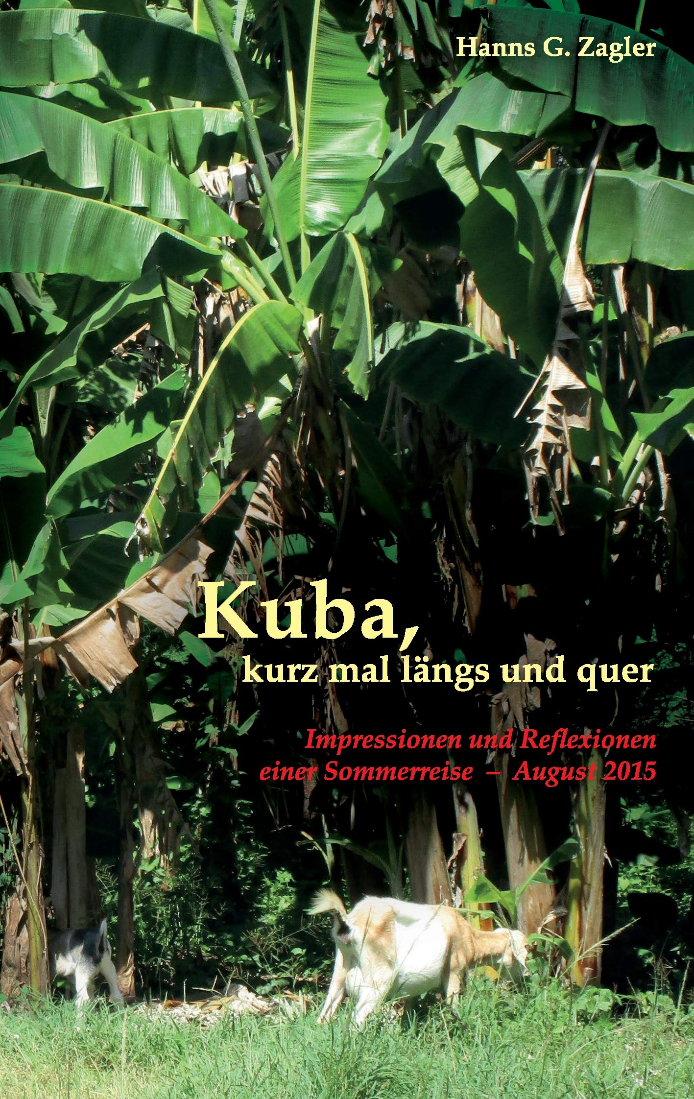 Kuba, kurz mal längs und quer: Impressionen und Reflexionen einer Sommerreise - August 2015 Leisure, Home & Garden