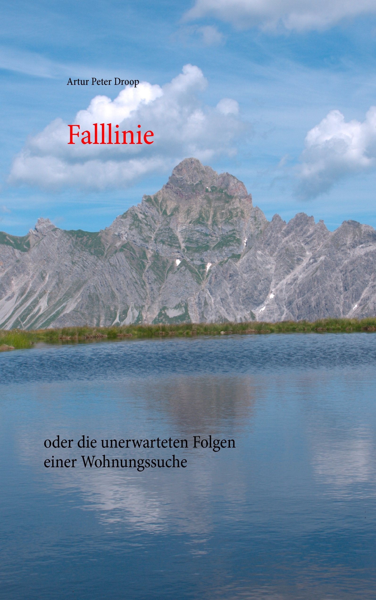 Falllinie: oder die unerwarteten Folgen einer Wohnungssuche Contemporary literature