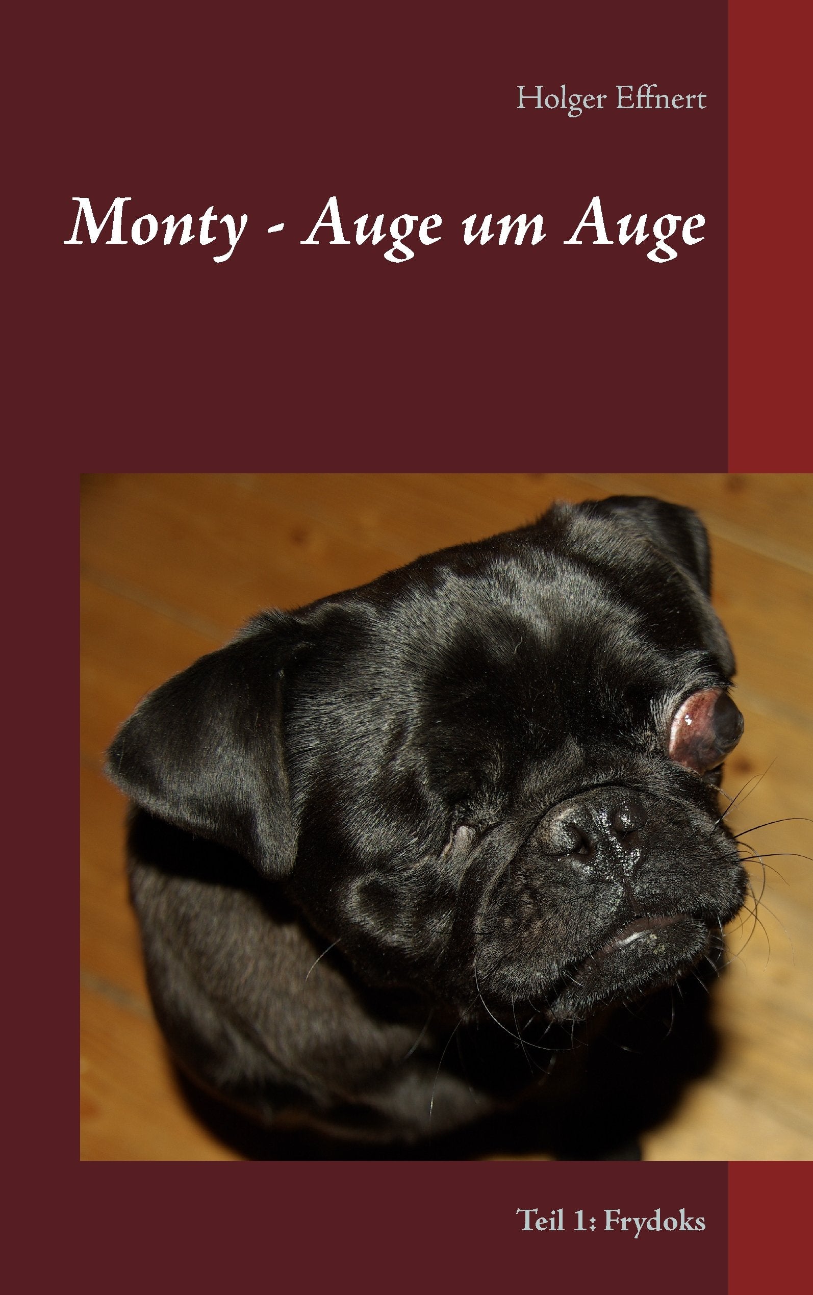 Monty - Auge um Auge Action & Adventure