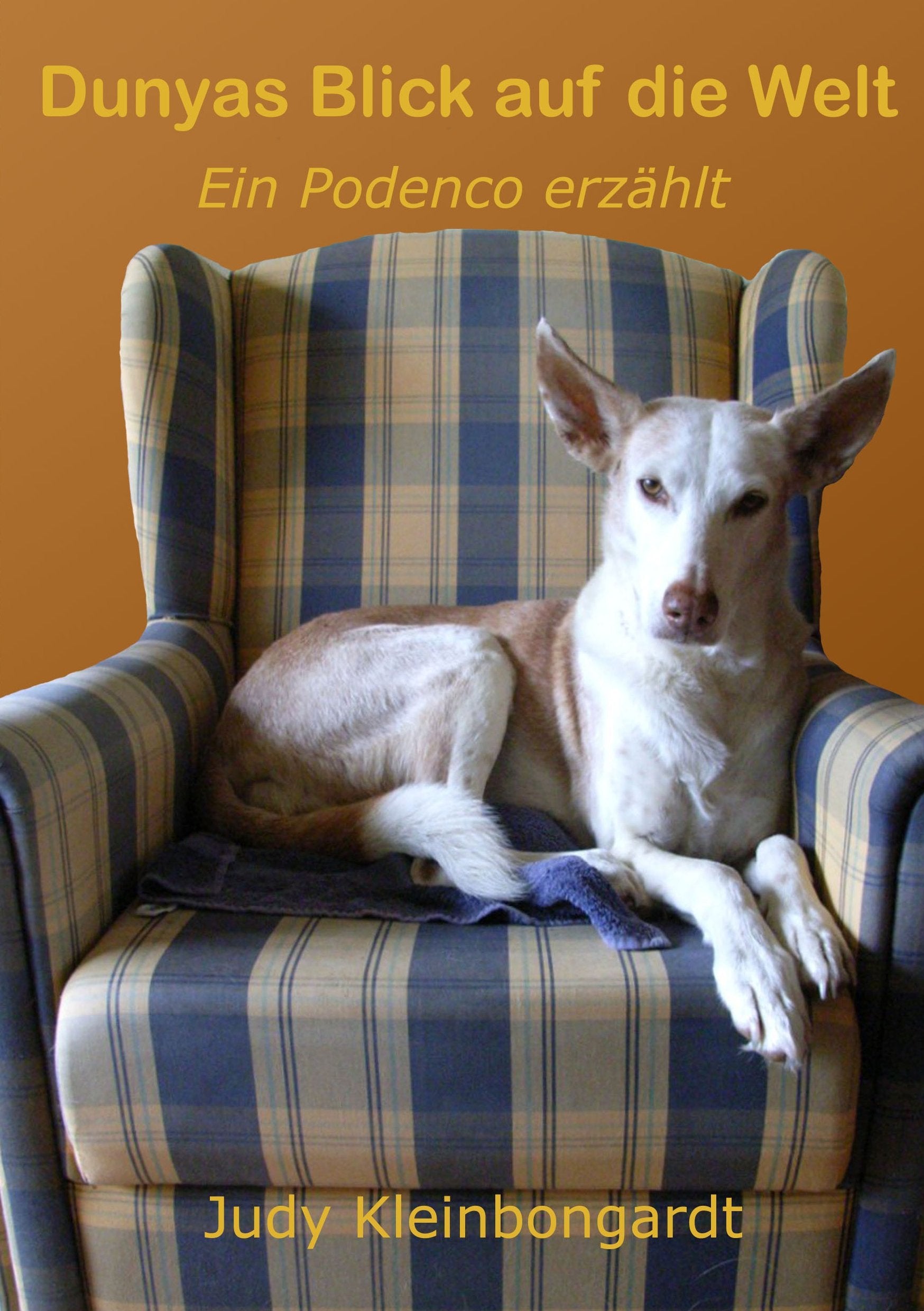 Dunyas Blick auf die Welt Contemporary literature