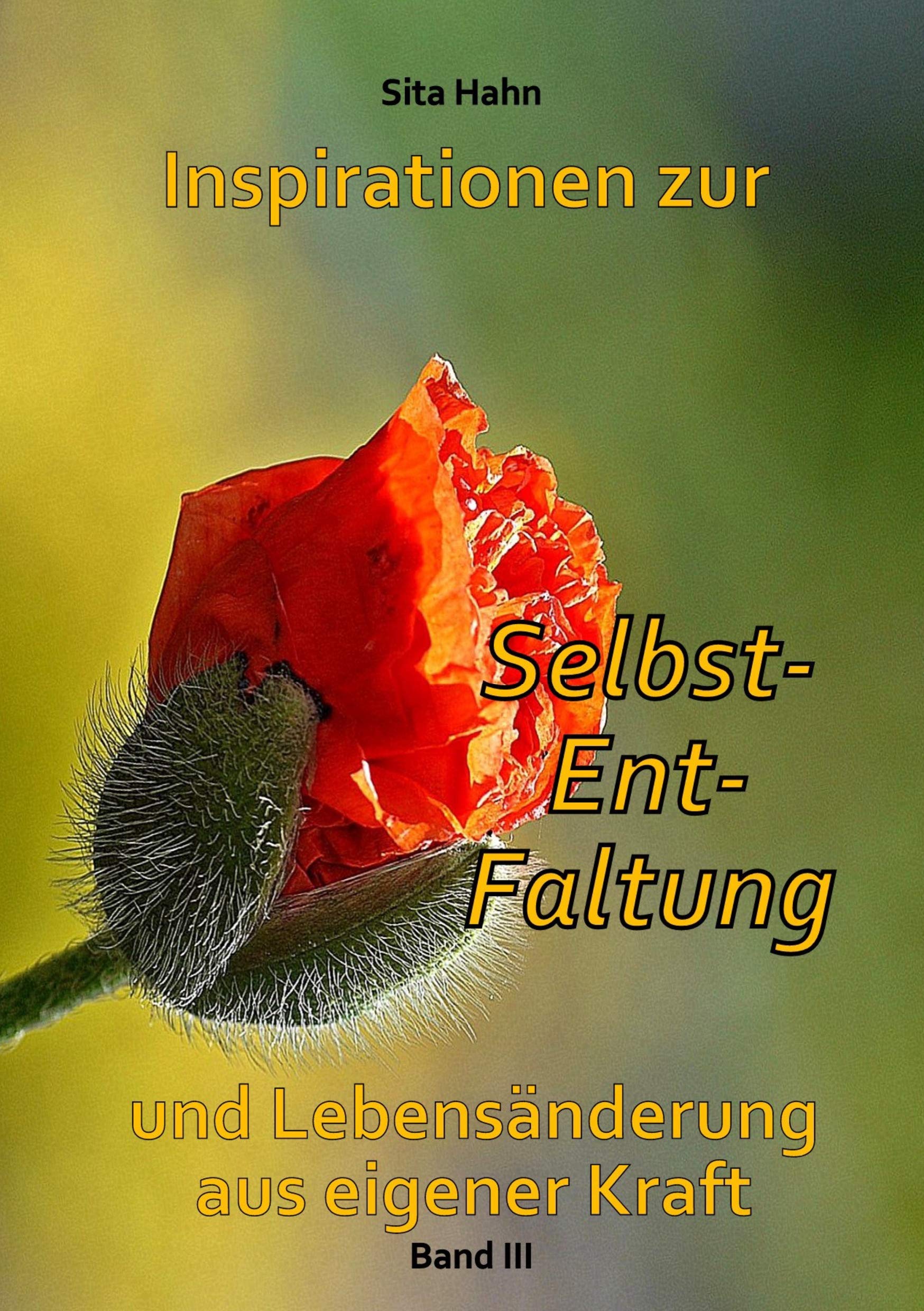 Inspirationen zur Selbst-Ent-Faltung book