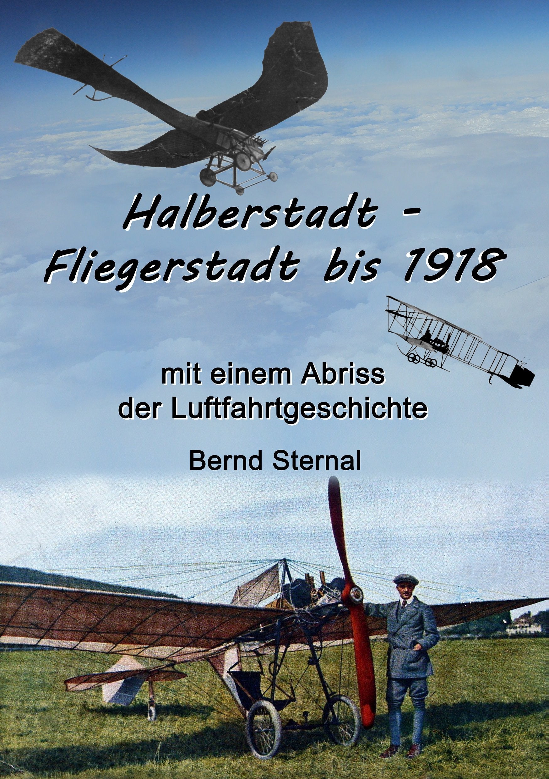 Halberstadt - Fliegerstadt bis 1918: mit einem Abriss der Luftfahrtgeschichte Social Sciences
