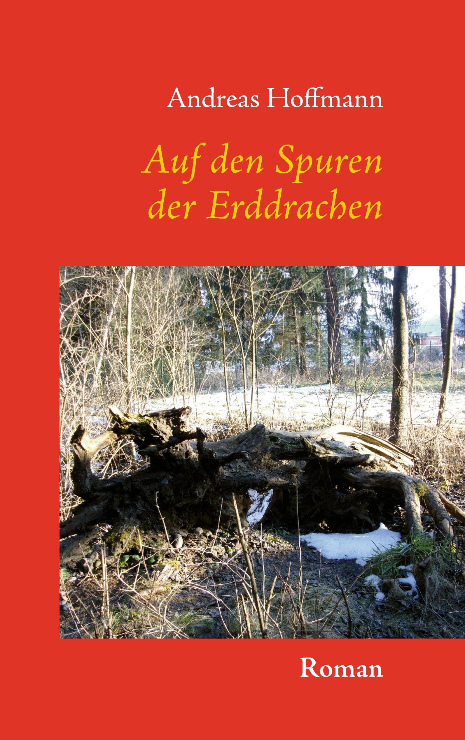 Auf den Spuren der Erddrachen Novels & Short Stories for children