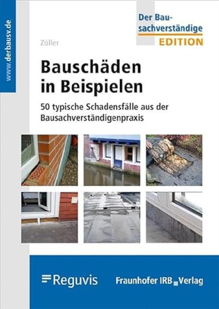 Product Image: Bauschäden in Beispielen.