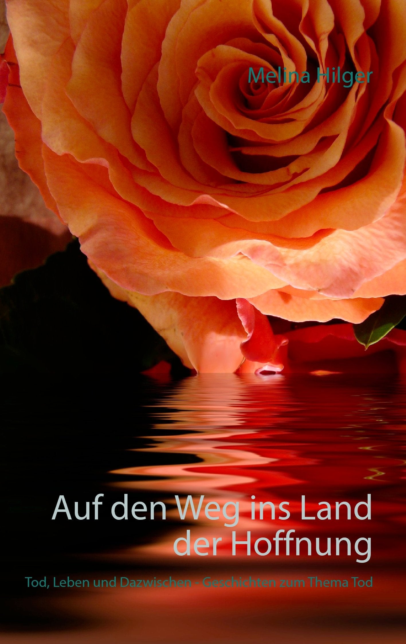 Auf den Weg ins Land der Hoffnung: Tod, Leben und Dazwischen - Geschichten zum Thema Tod Contemporary literature