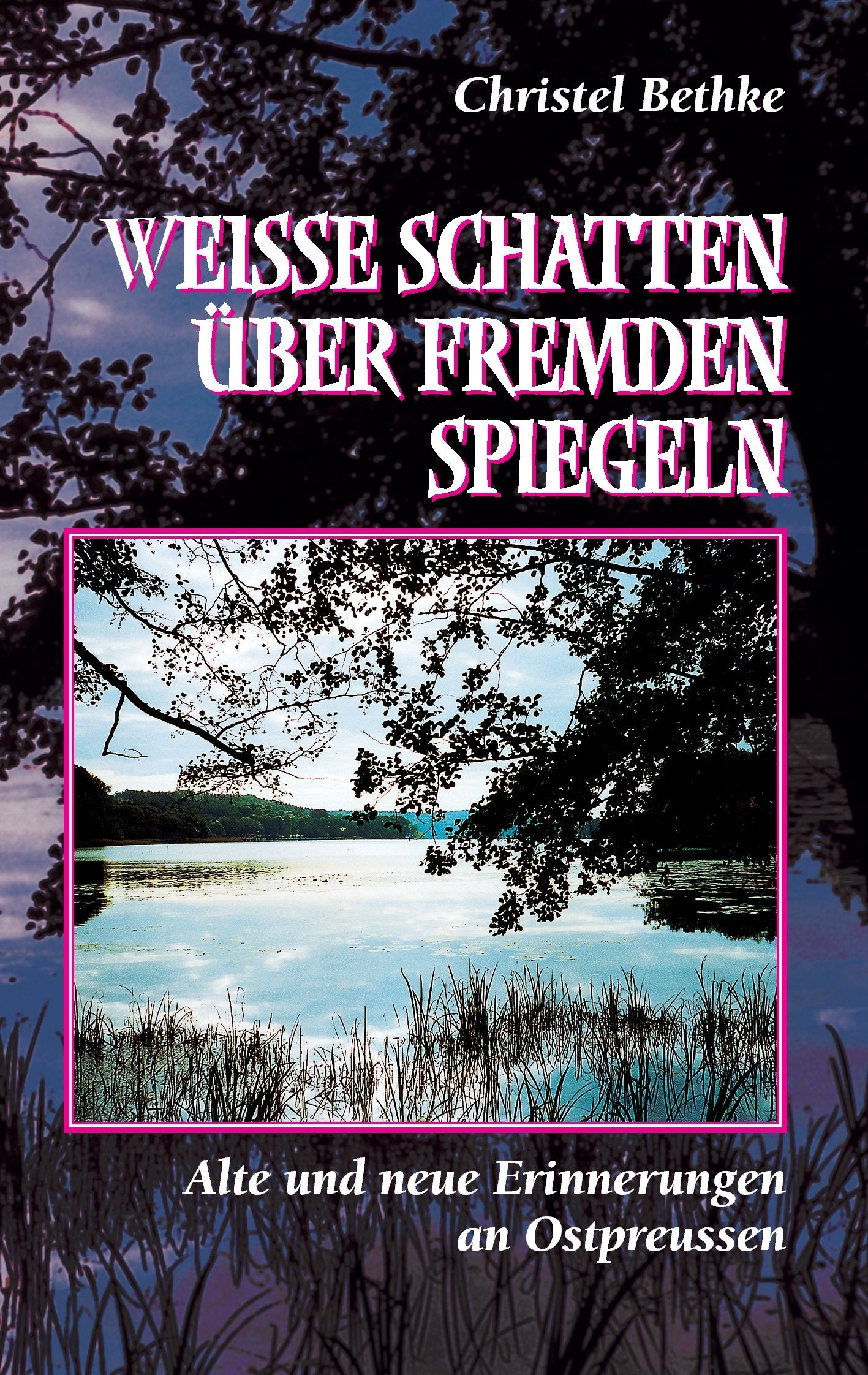 Weiße Schatten über fremden Spiegeln Contemporary literature