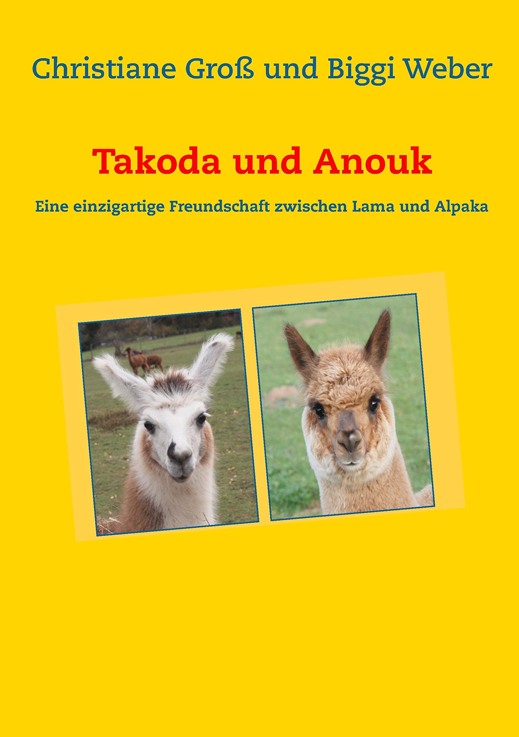 Takoda und Anouk Novels & Short Stories for children