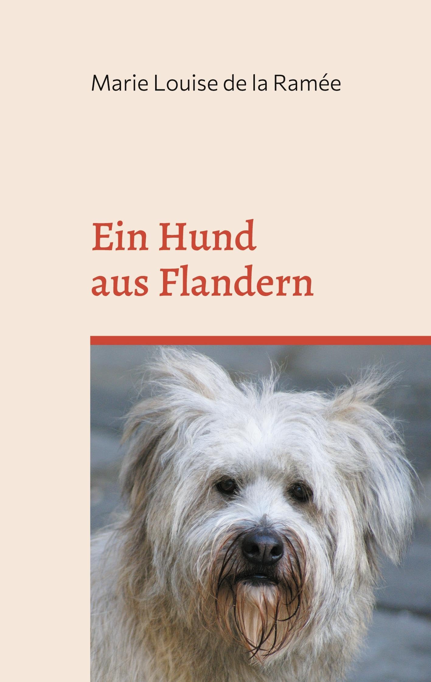 Ein Hund aus Flandern book