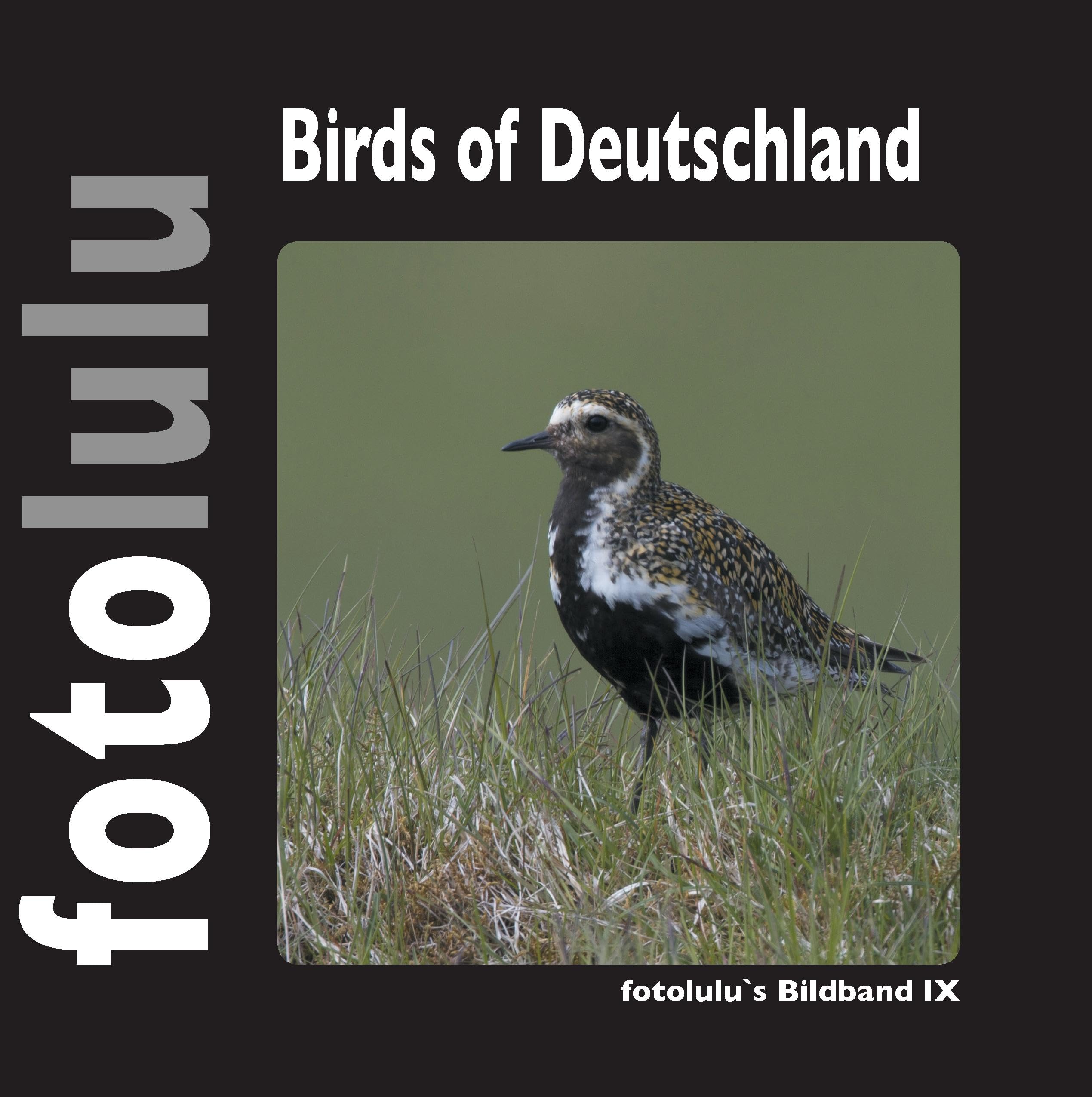 Birds of Deutschland: fotolulus Bildband IX Leisure, Home & Garden
