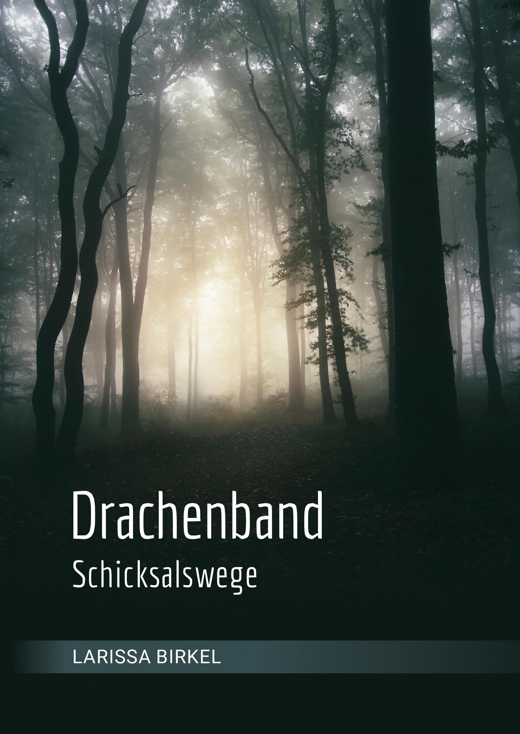 Drachenband: Schicksalswege Fiction