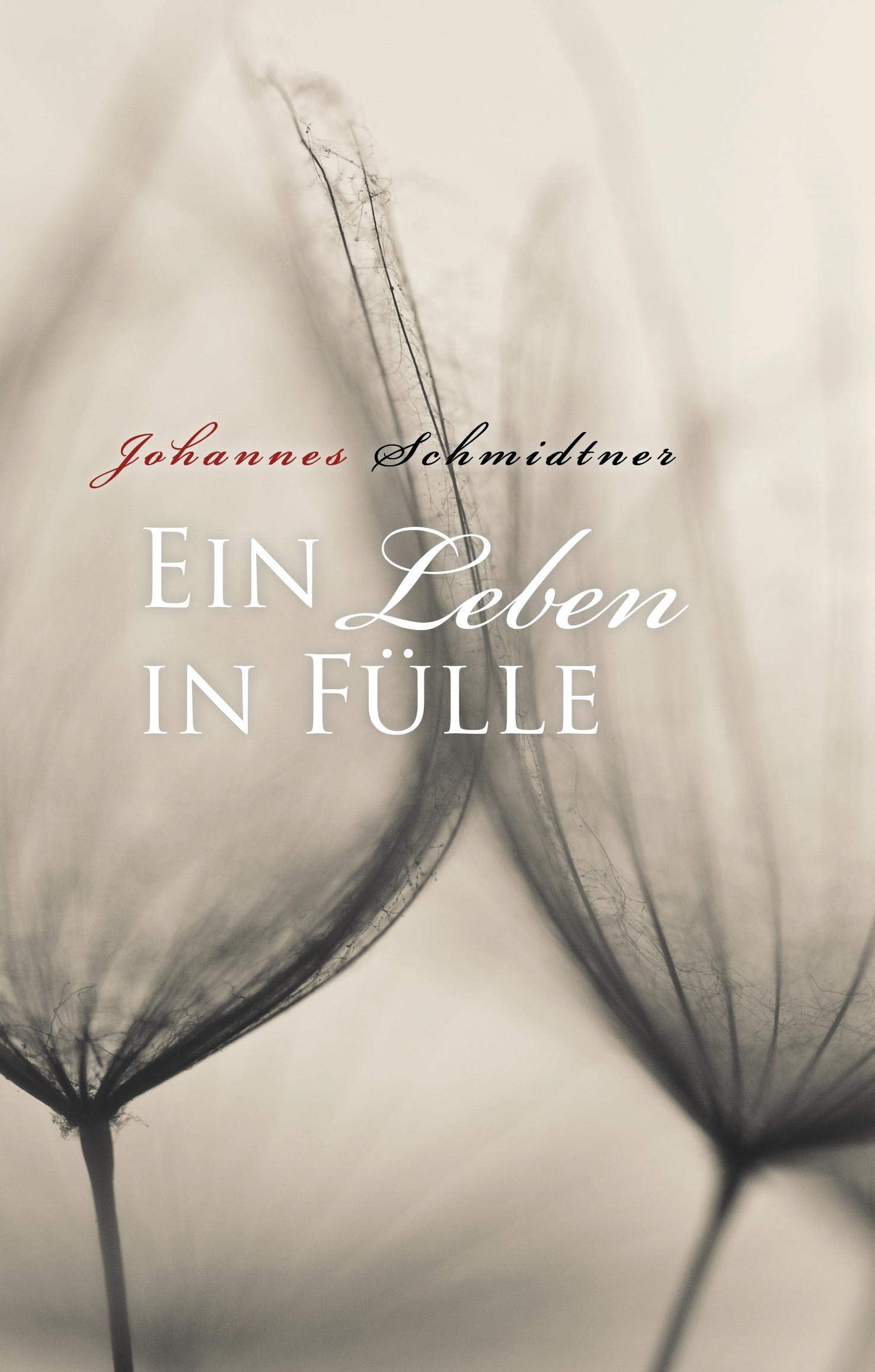 Product Image: Ein Leben in Fülle