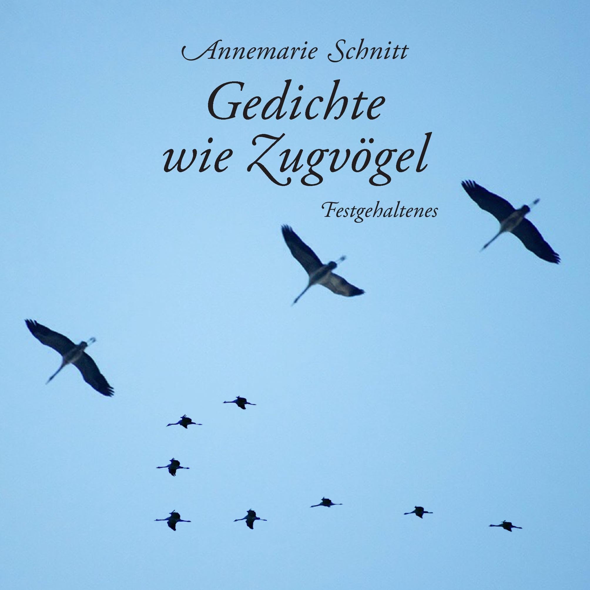 Gedichte wie Zugvögel: Festgehaltenes Poetry