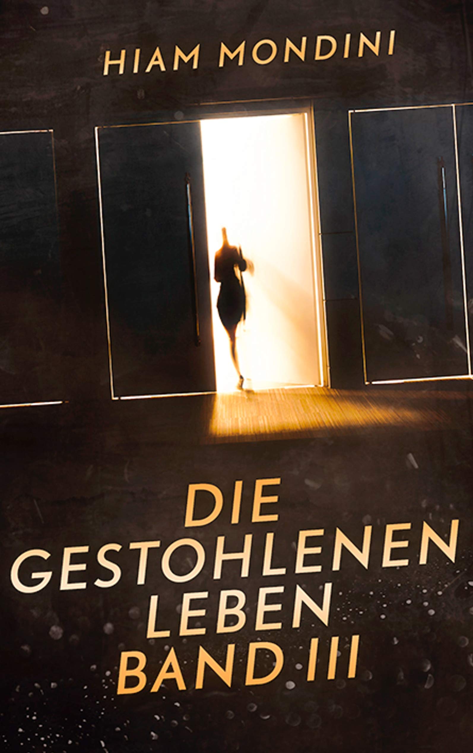 Die gestohlenen Leben Band III Contemporary literature