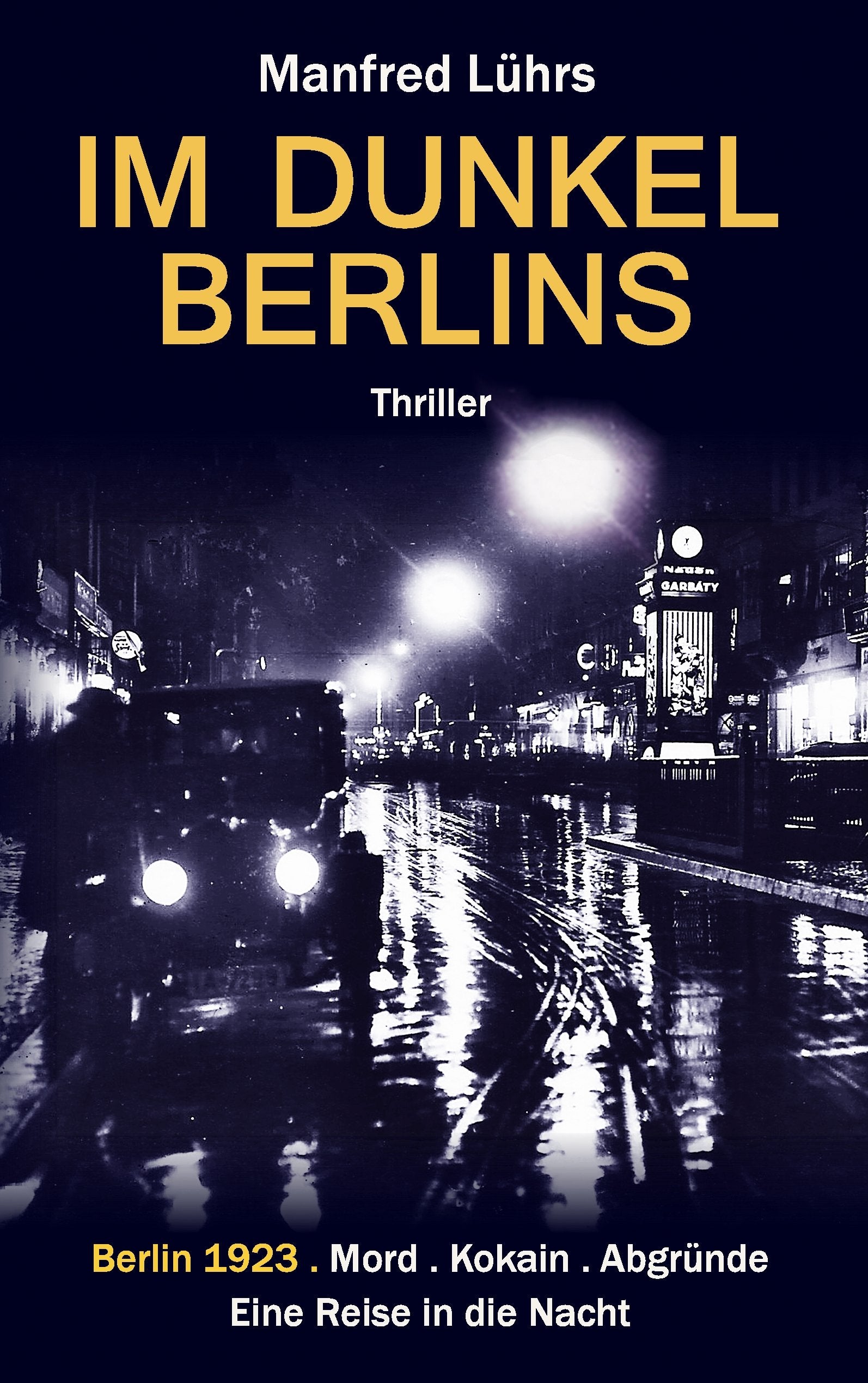 Im Dunkel Berlins Contemporary literature Books