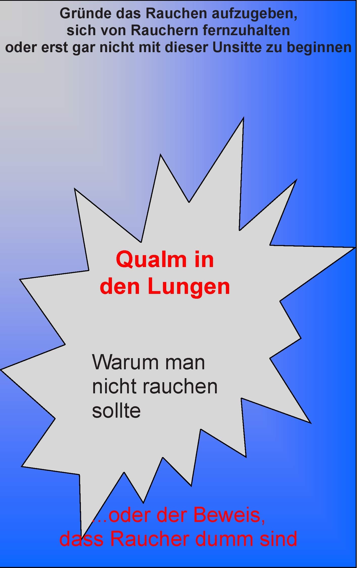 Product Image: Qualm in den Lungen: Warum man nicht rauchen sollte ... oder der Beweis, dass Raucher dumm sind
