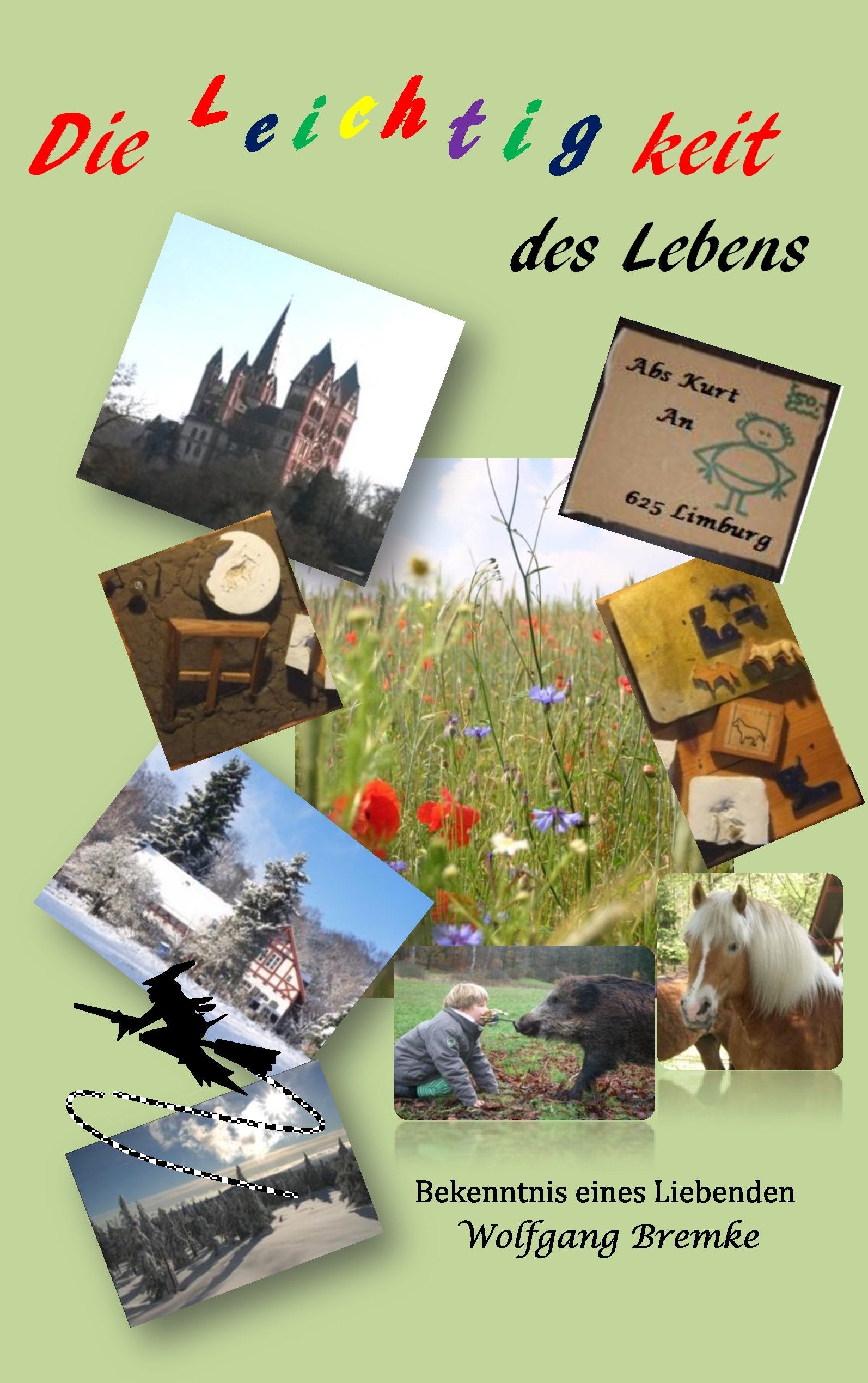 Die Leichtigkeit des Lebens: Bekenntnis eines Liebenden Contemporary literature