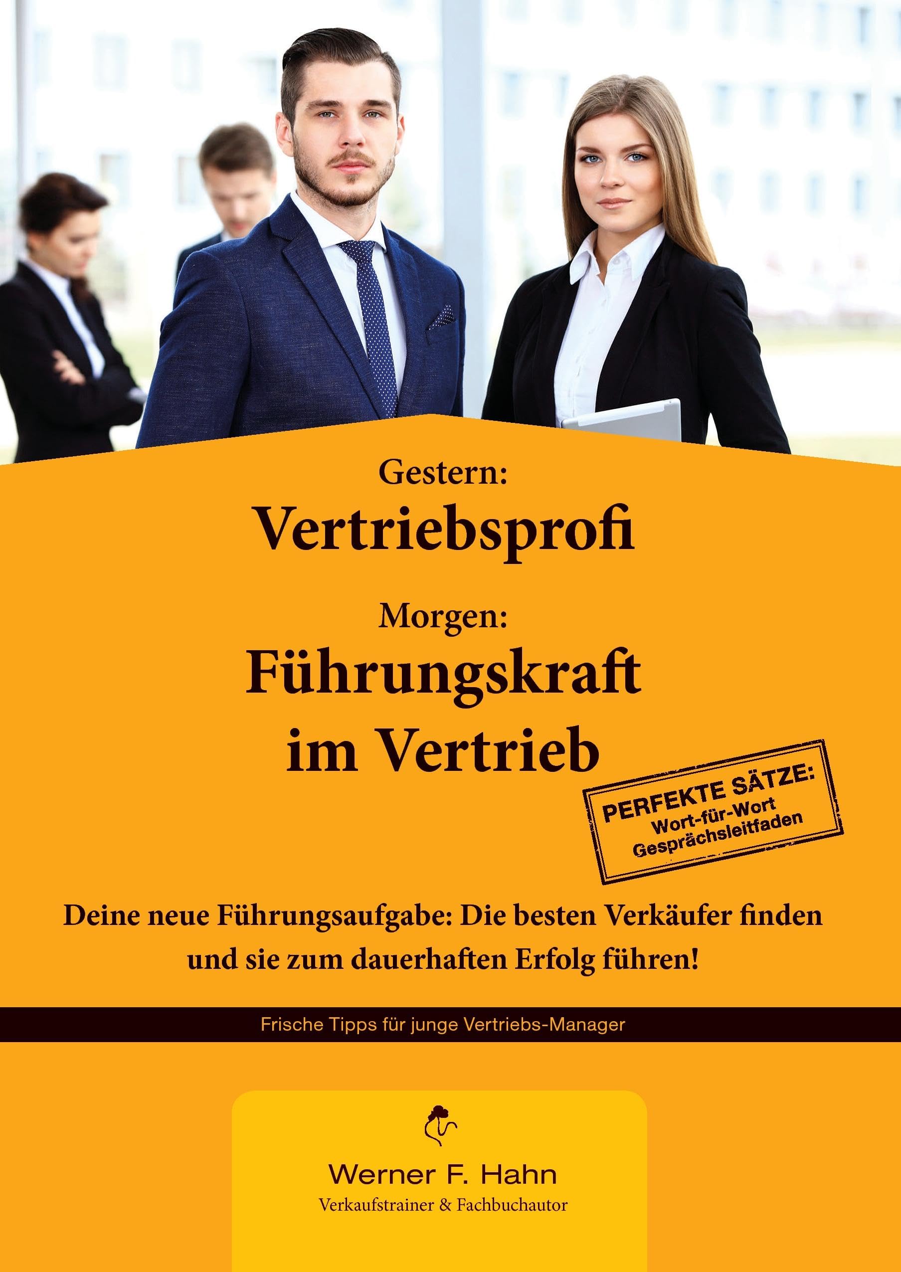 Gestern: Vertriebsprofi - Morgen: Führungskraft im Vertrieb book