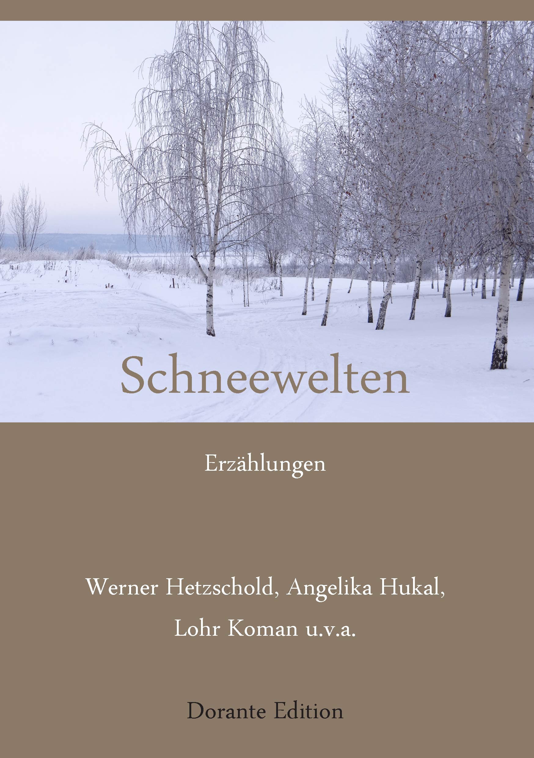 Schneewelten Contemporary literature Books