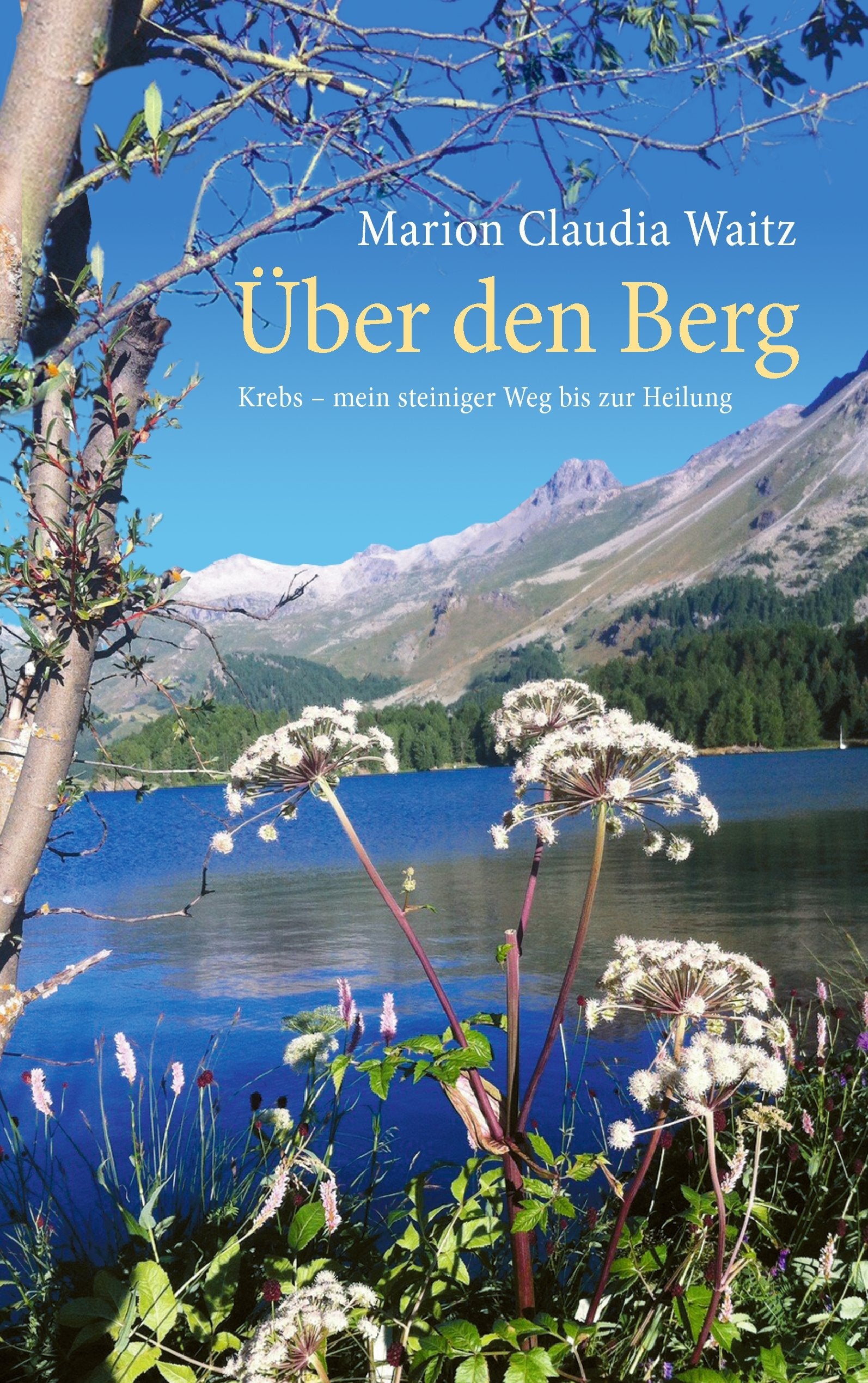 Über den Berg Medicine Books