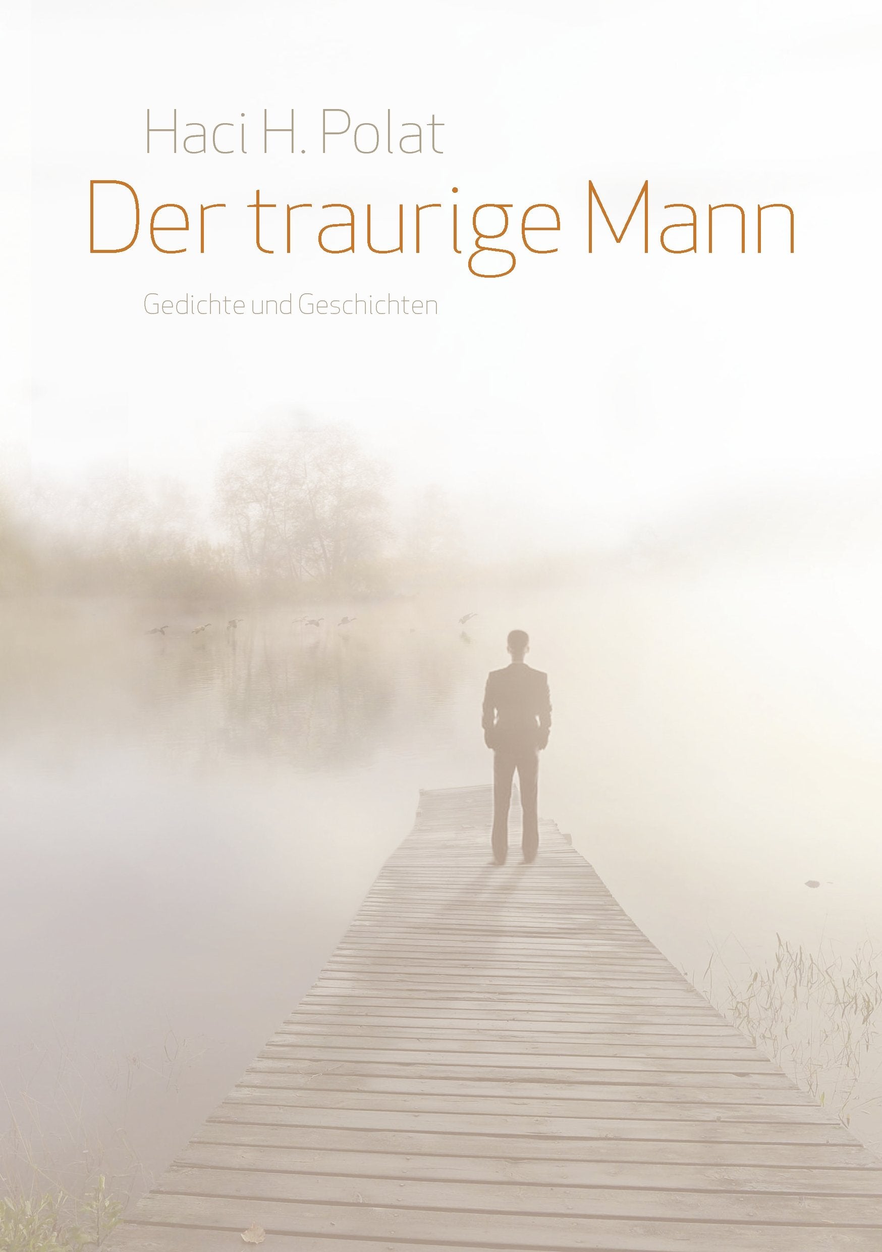 Der traurige Mann: Gedichte und Geschichten Contemporary literature