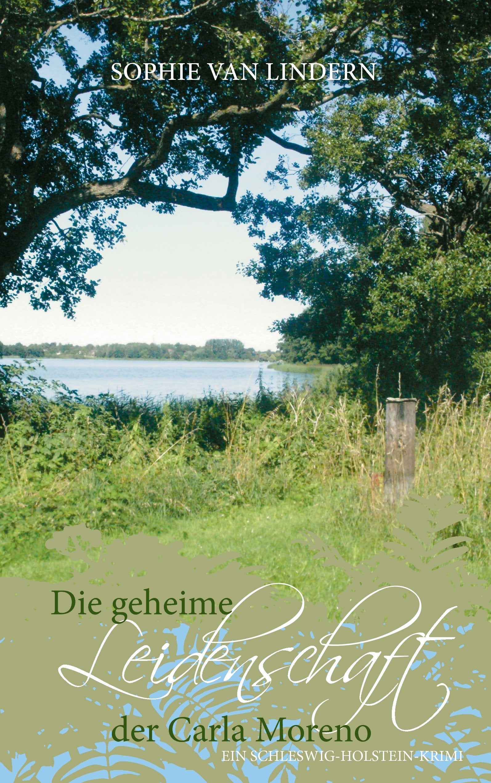 Die geheime Leidenschaft der Carla Moreno Contemporary literature