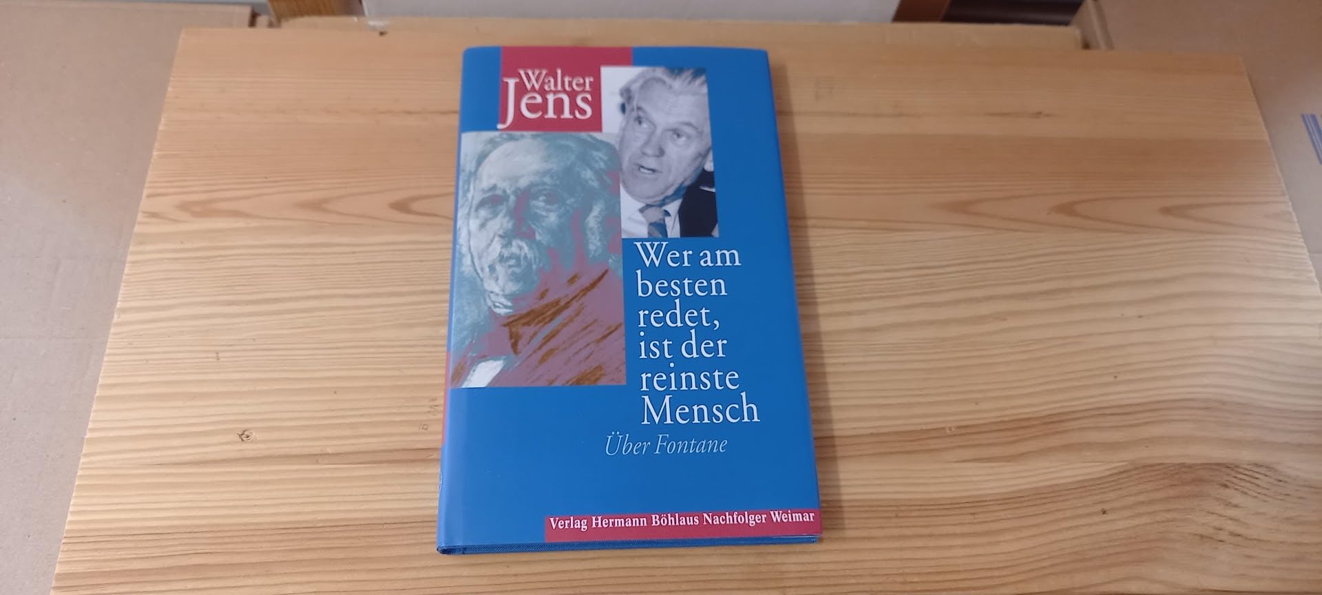 Wer am besten redet, ist der reinste Mensch. Über Fontane Professional & Reference Books