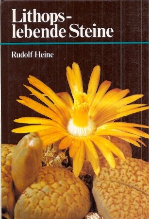 Lithops - lebende Steine Medicine