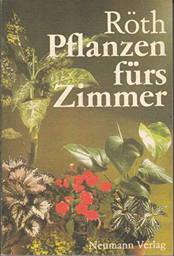 Pflanzen fürs Zimmer Leisure, Home & Garden