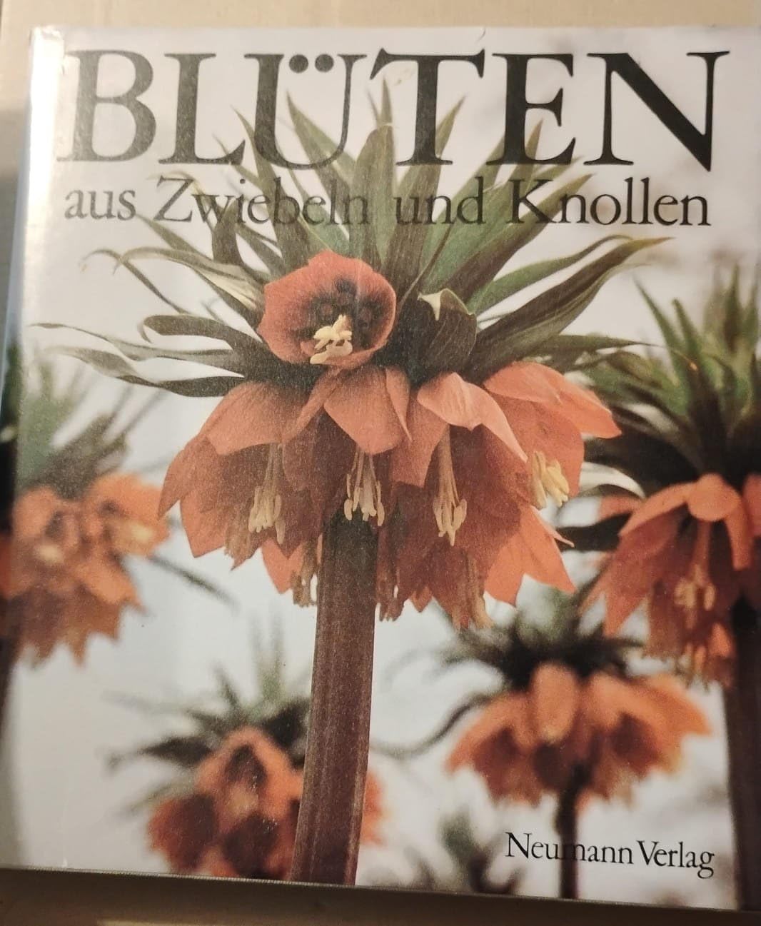 Blüten aus Zwiebeln und Knollen Leisure, Home & Garden